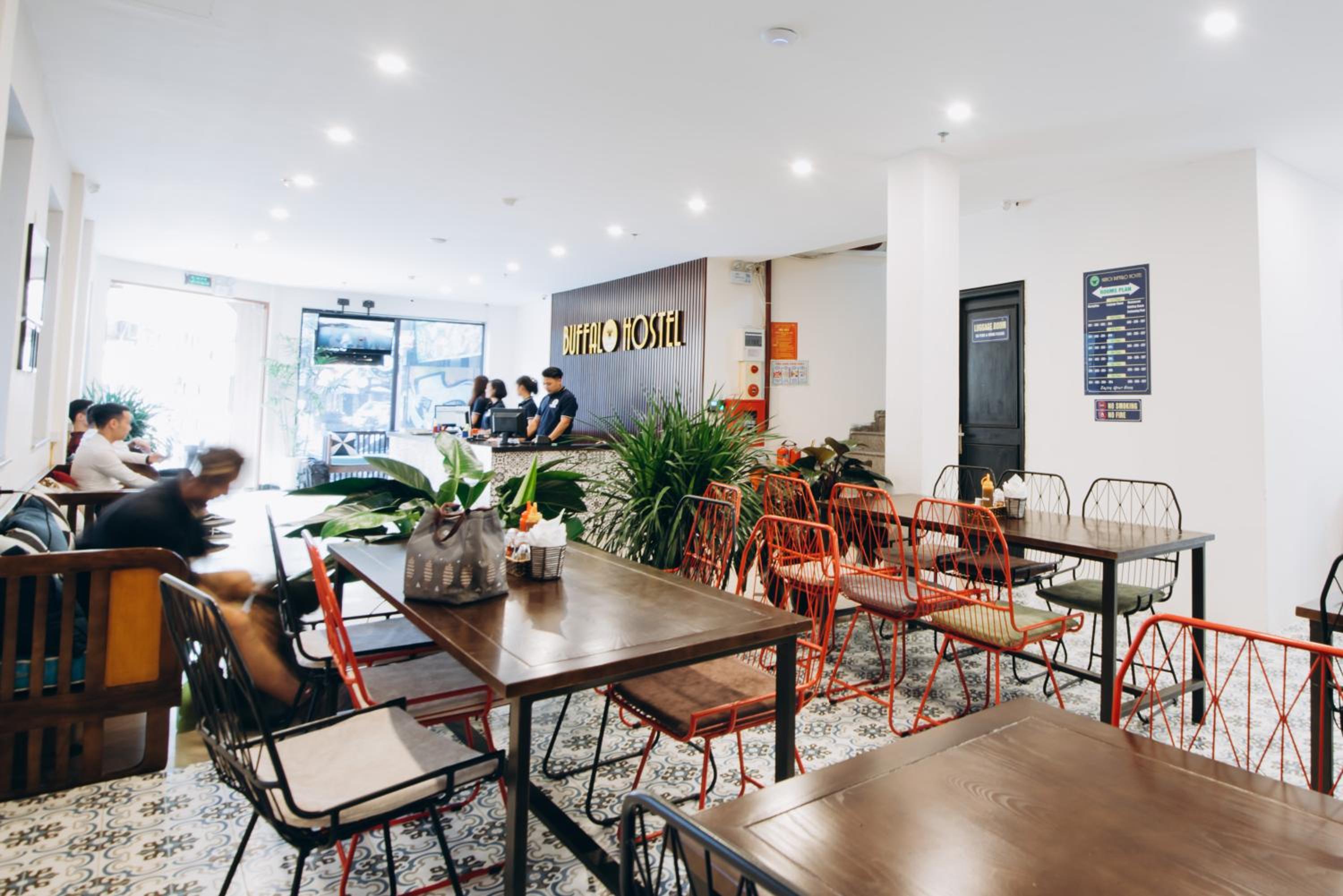 Hanoi Buffalo Hostel