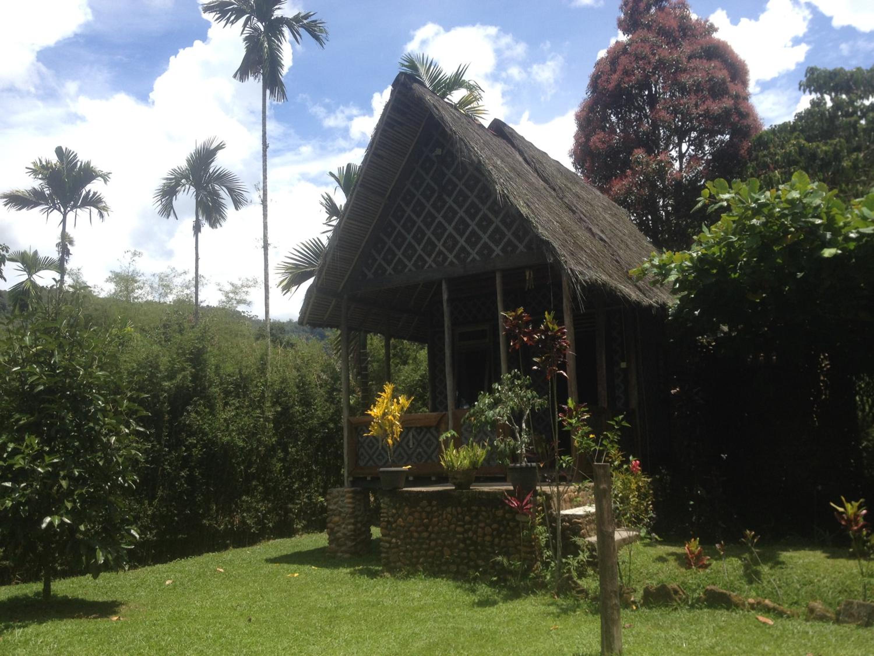 Photo 18