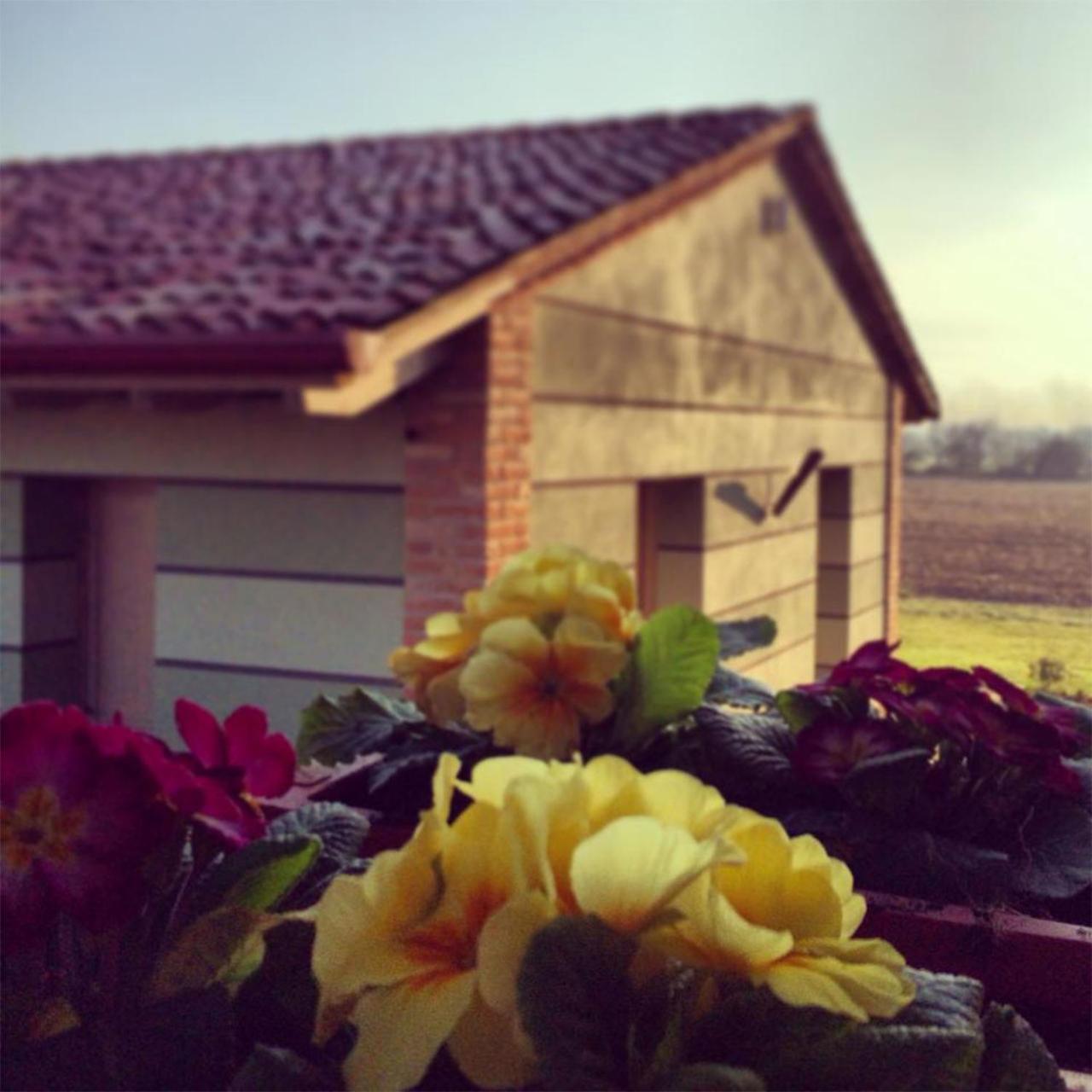 Agriturismo Bassanine view 2