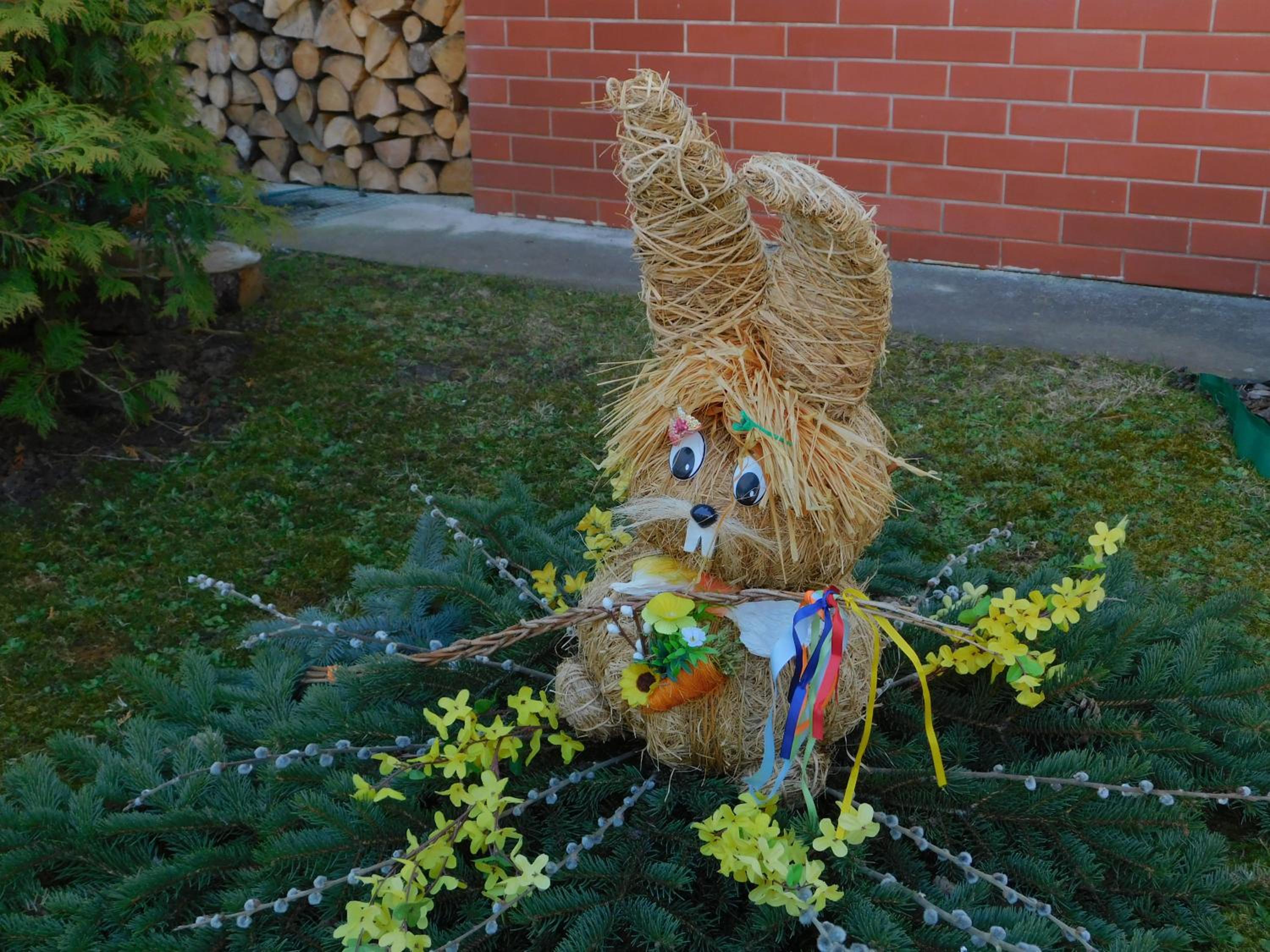 Photo 51
