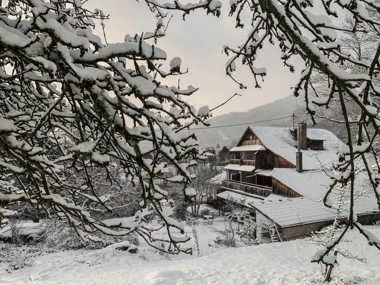 Le Manoir des Sens - Forêt de Bergheim