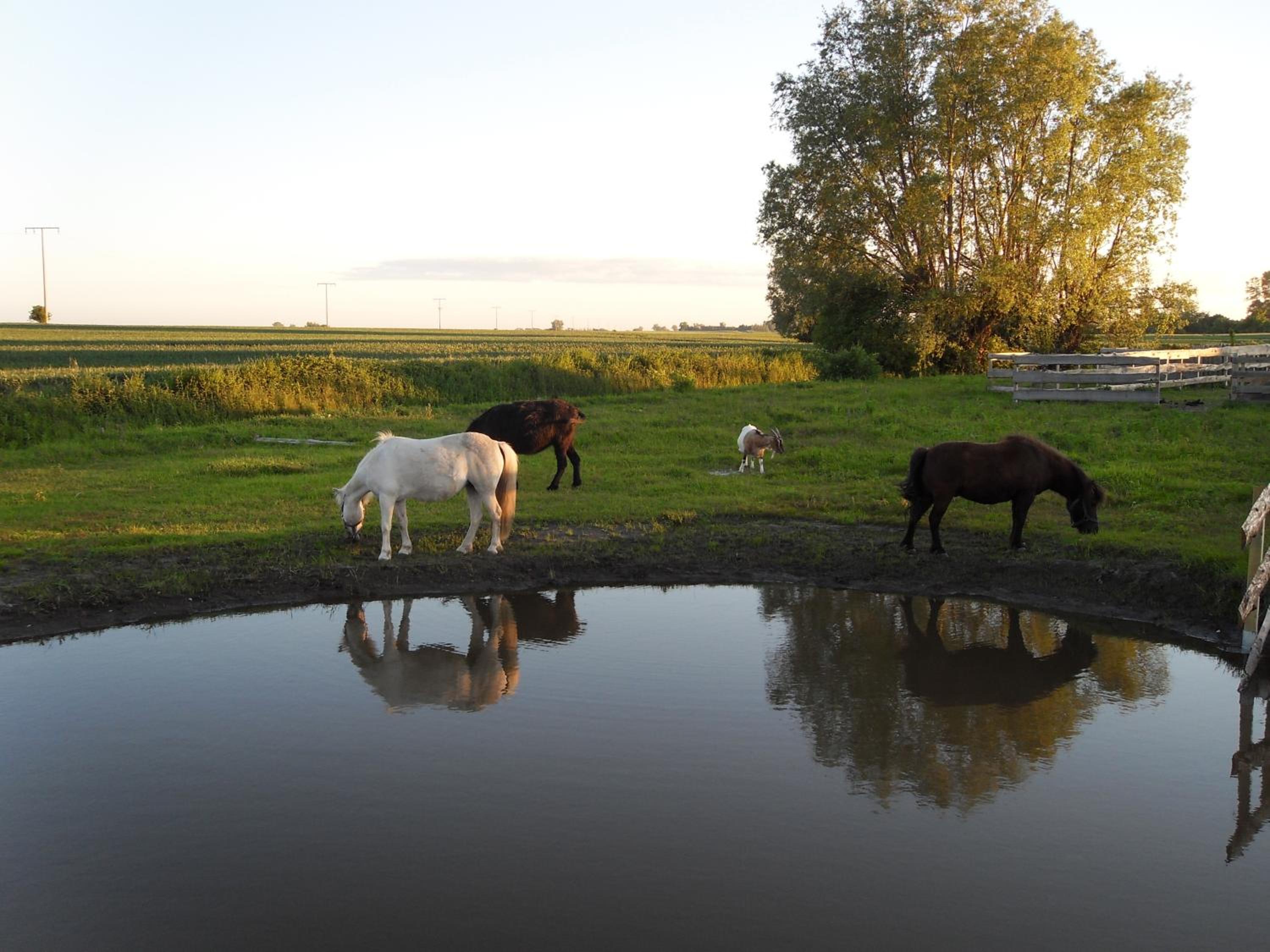 Horse Lake Ranch