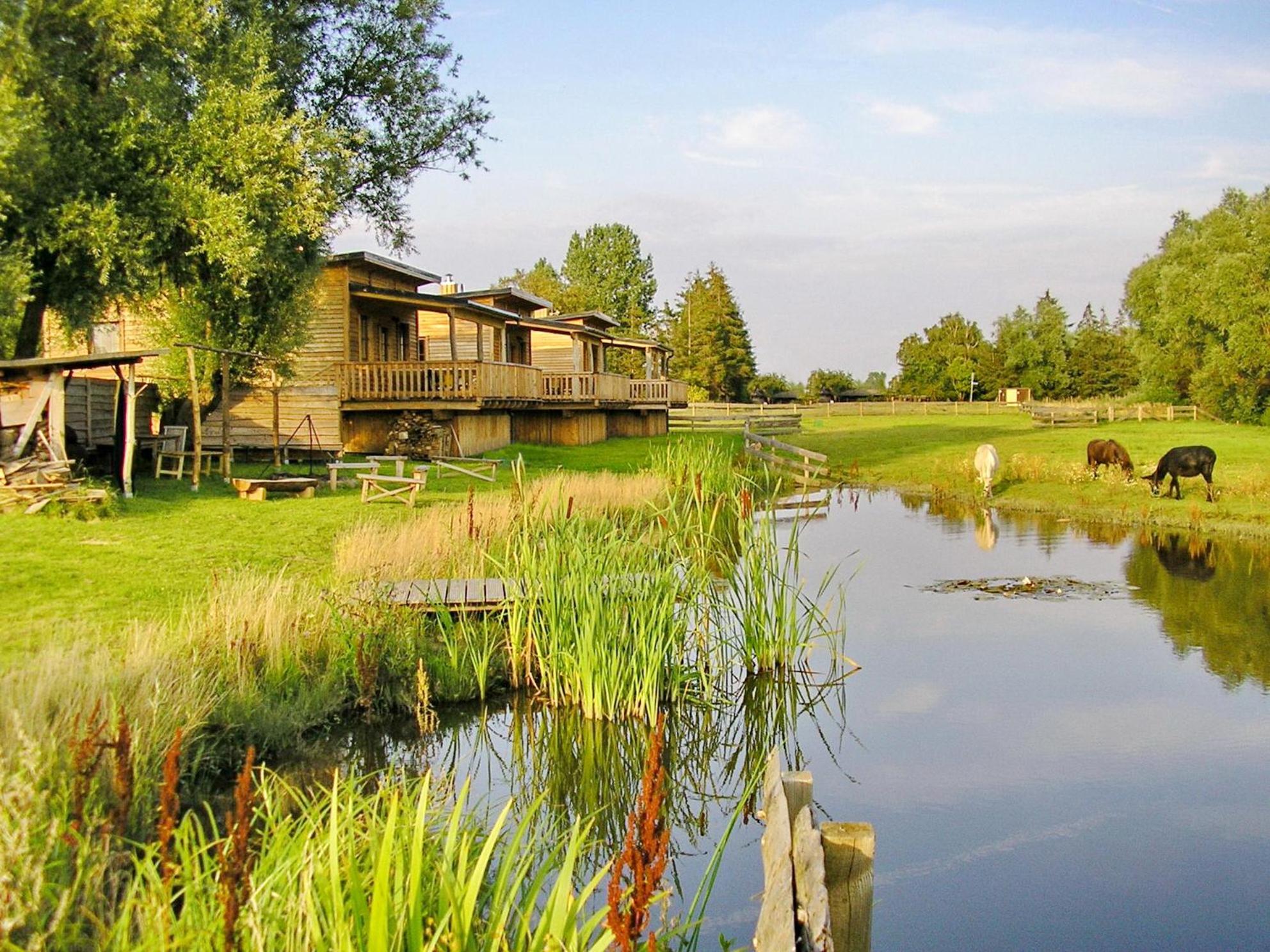 Horse Lake Ranch