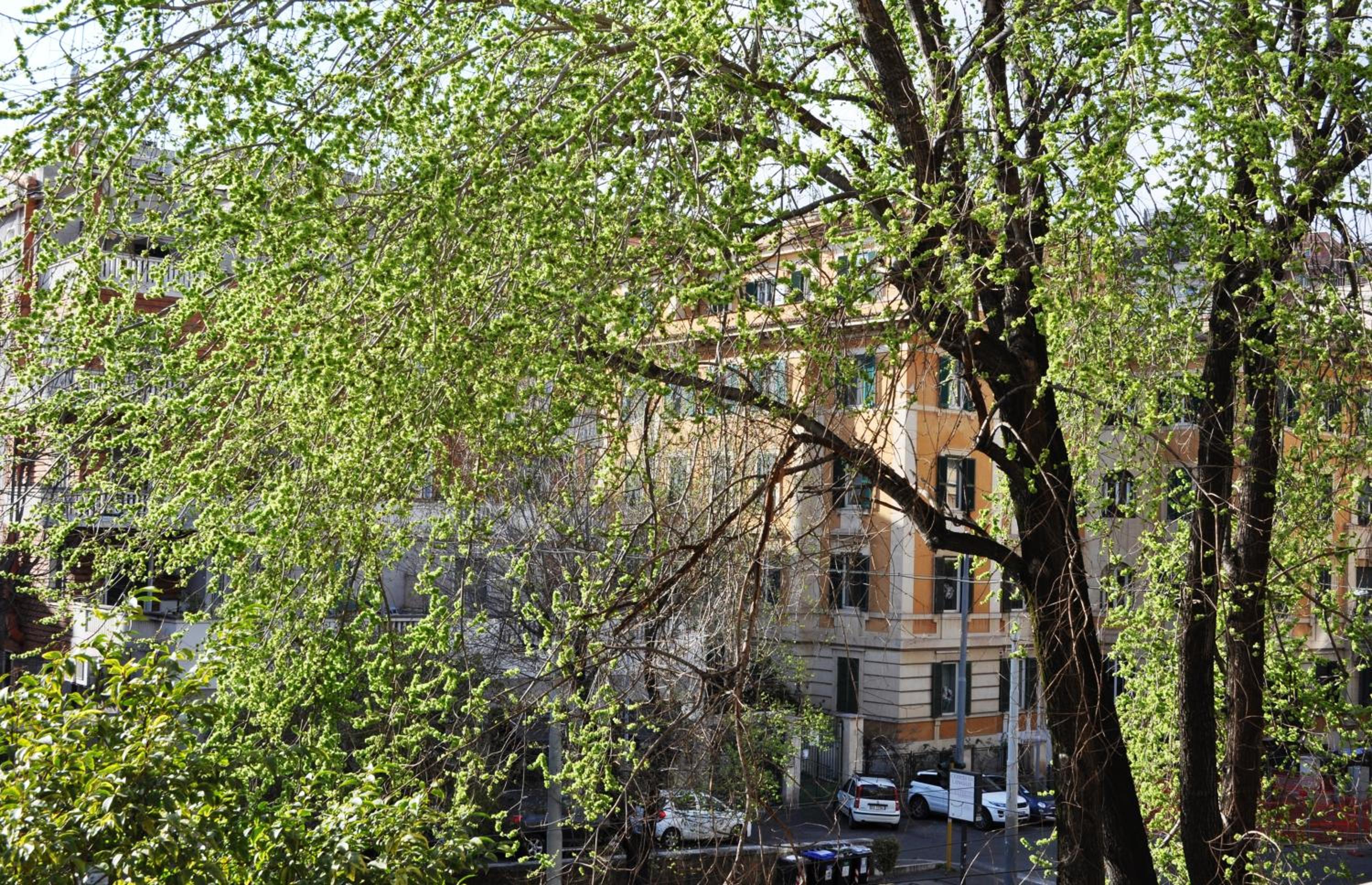Trastevere Boulevard