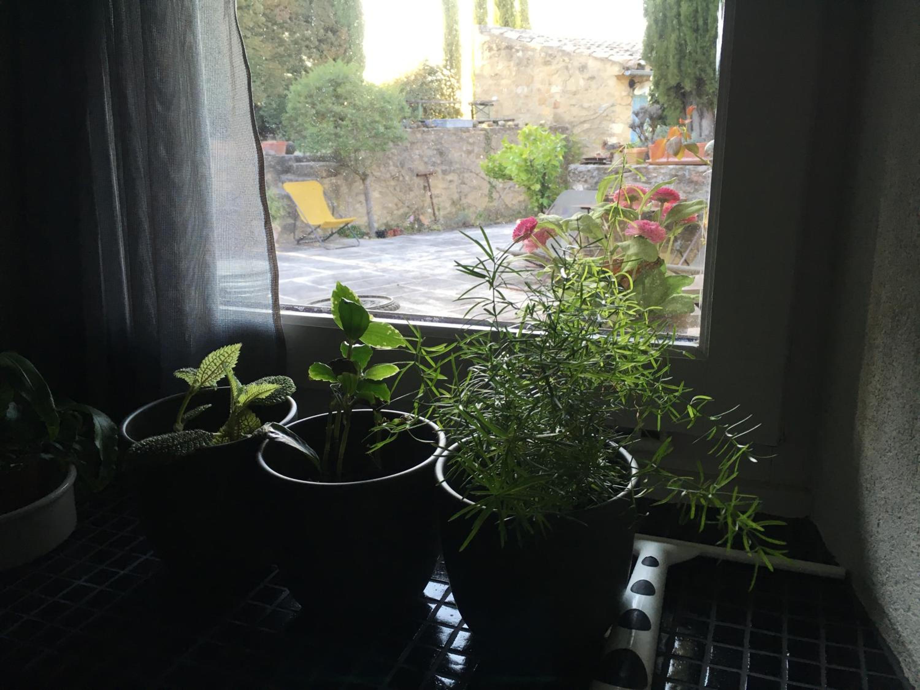 Photo 25