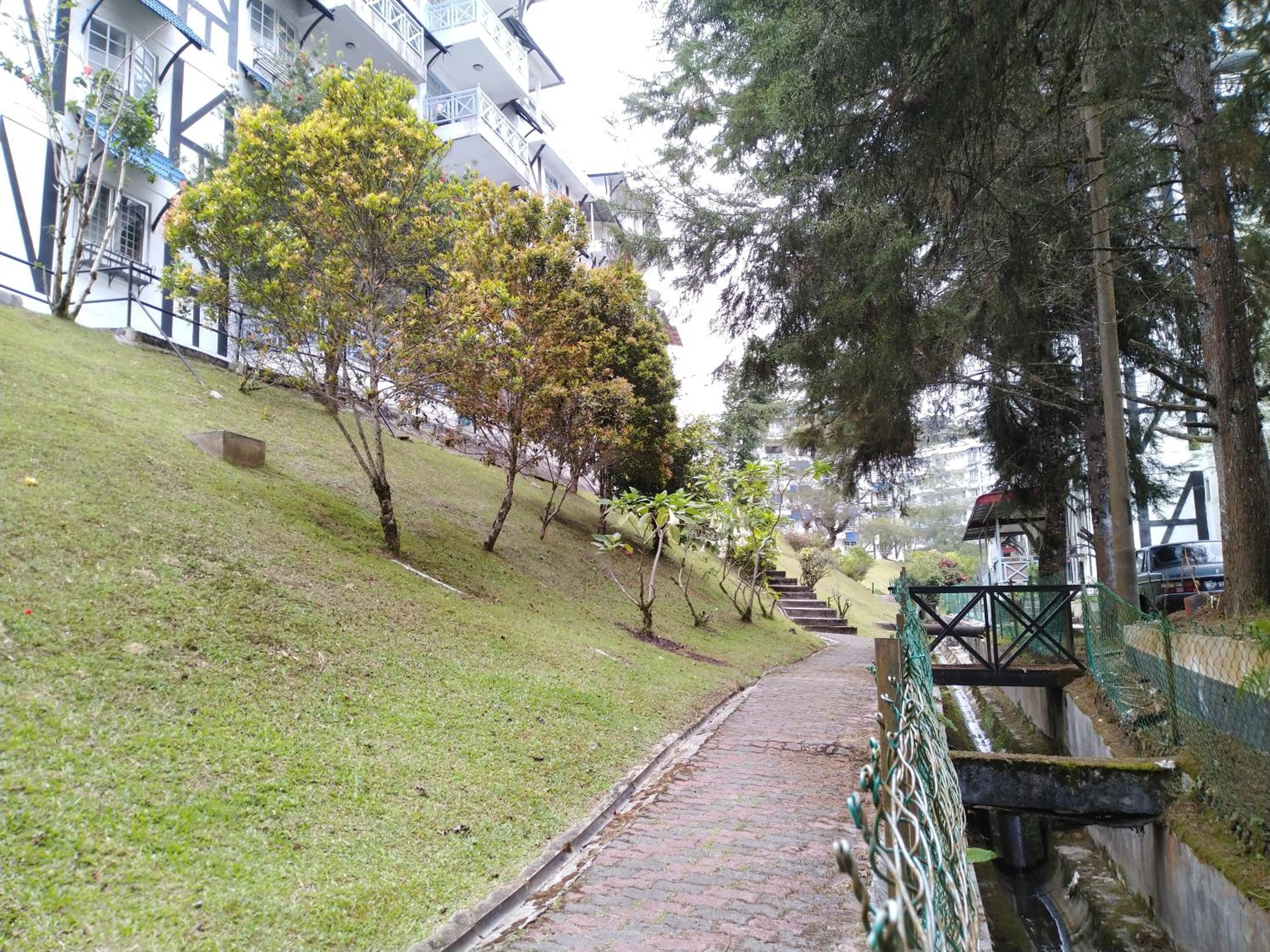 Photo 29
