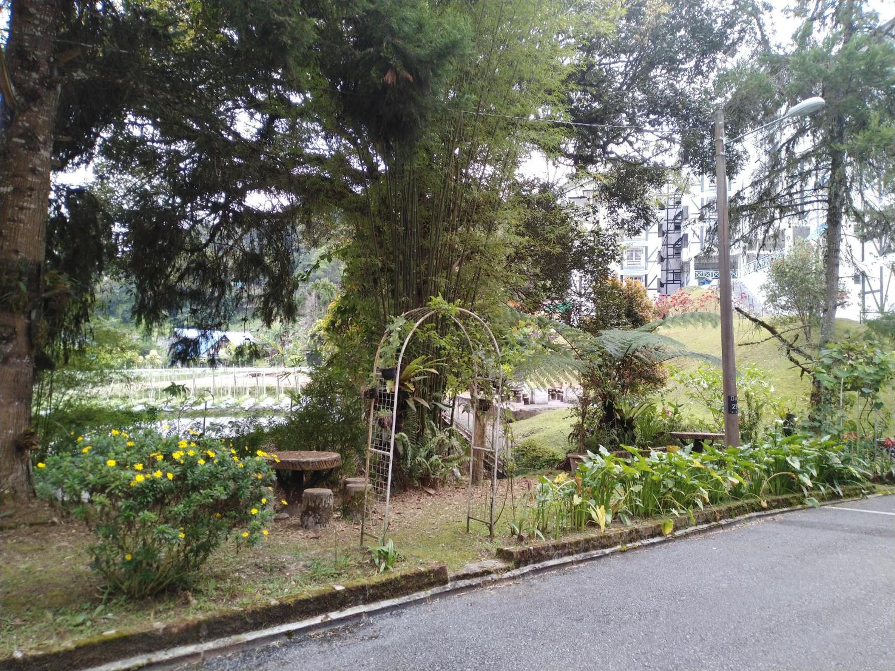 Photo 13