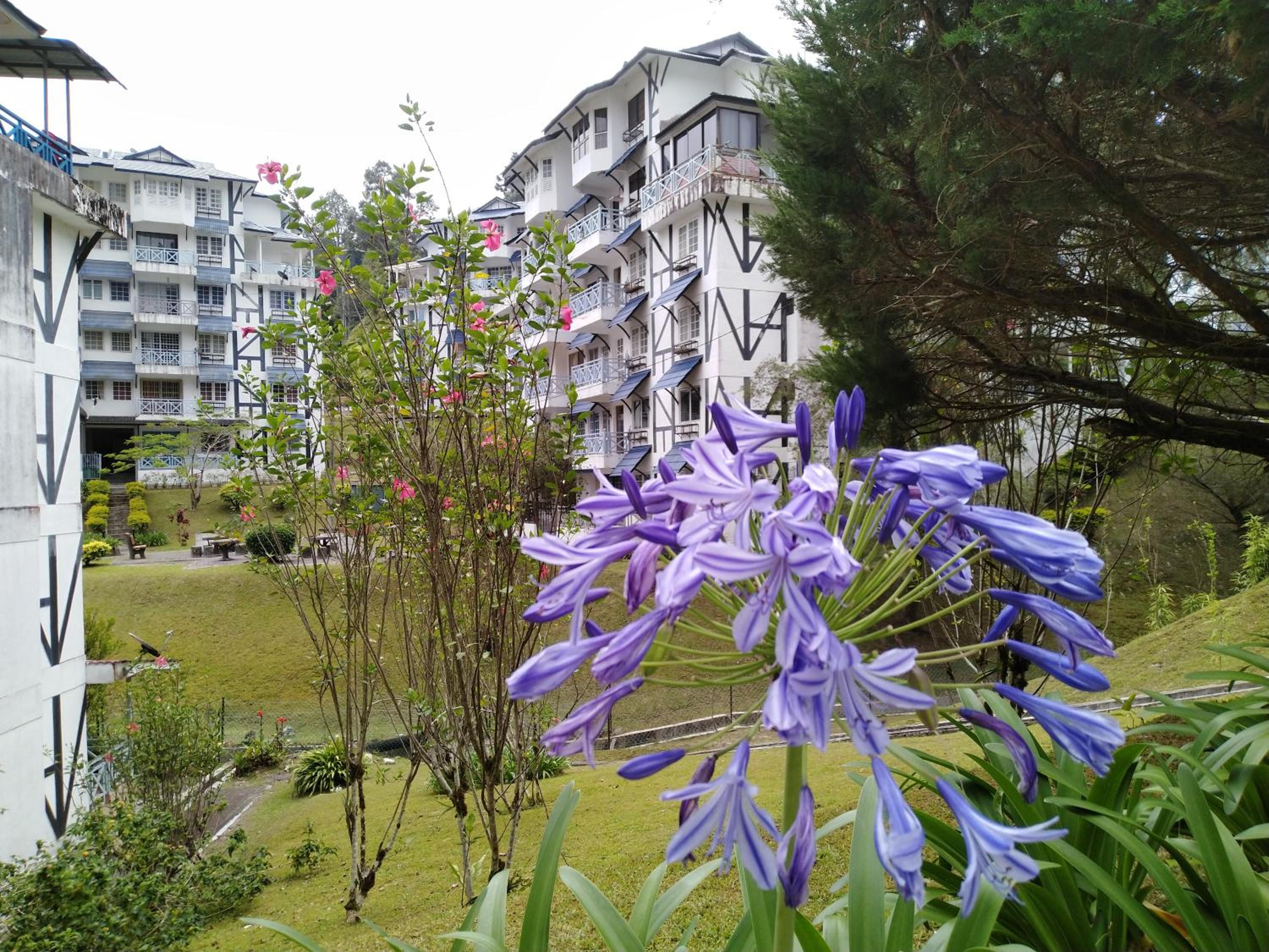 Photo 41