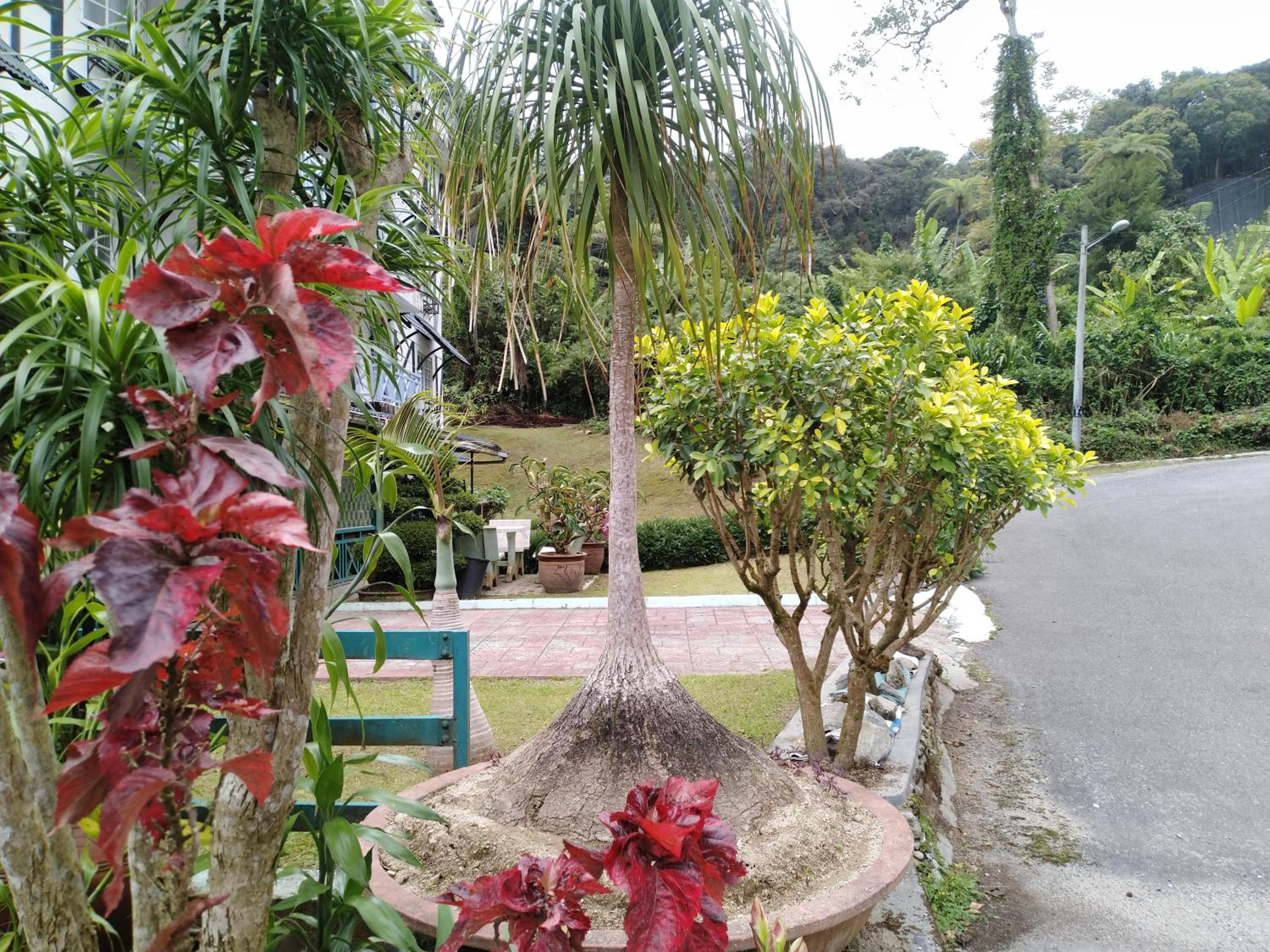 Photo 15