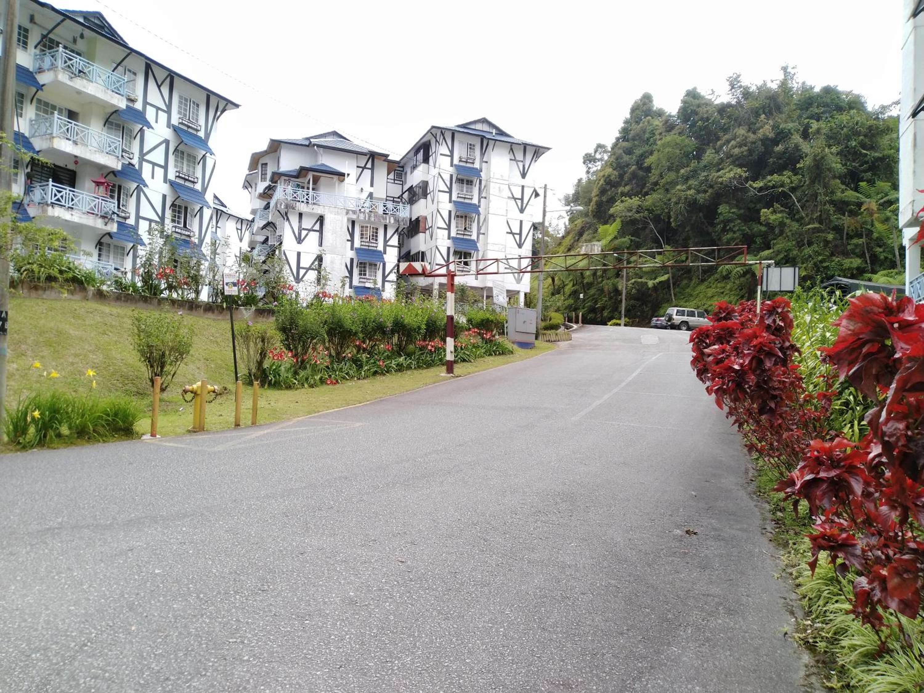 Photo 19