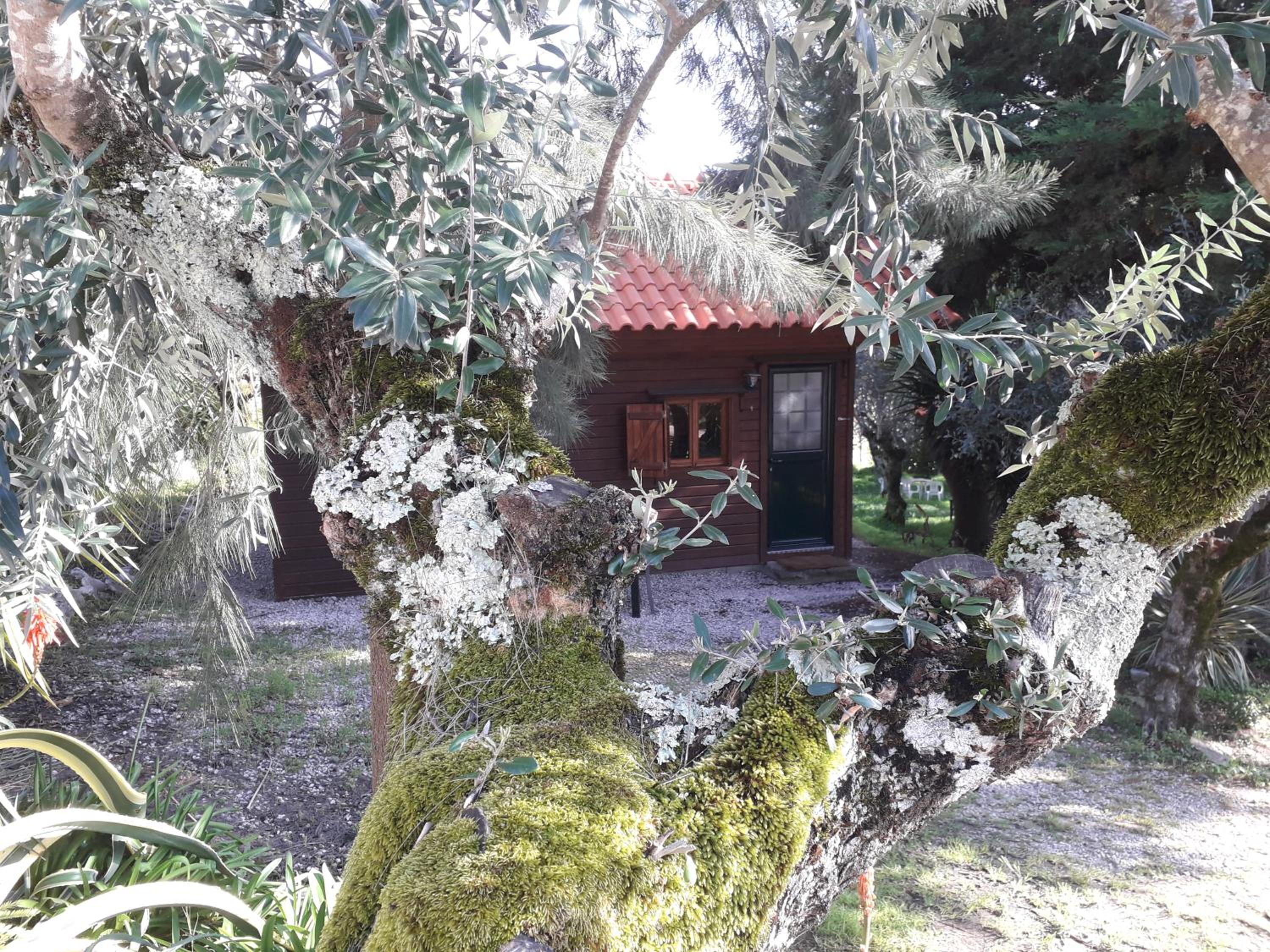 Redondo Lodges