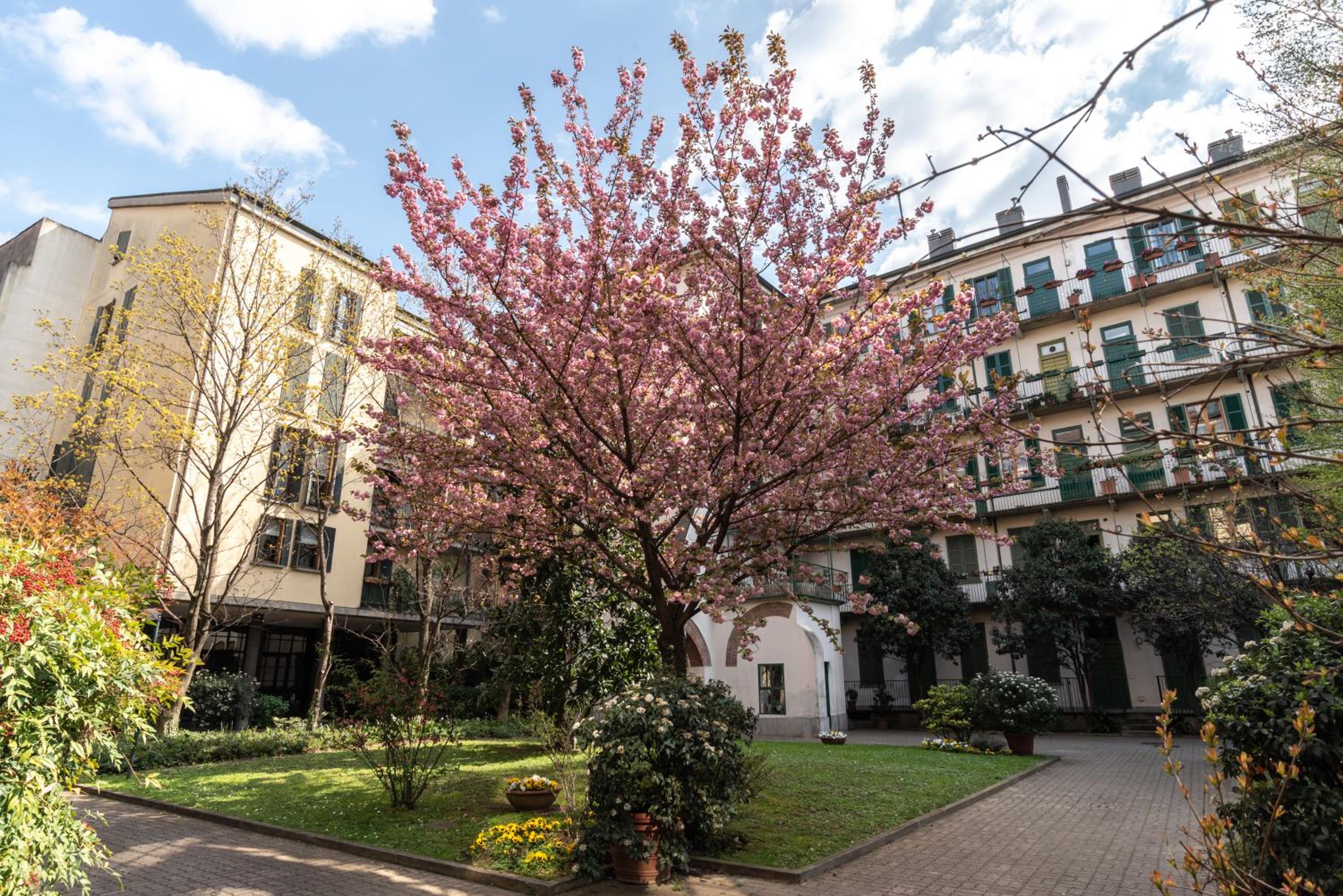 Mini loft Moscova