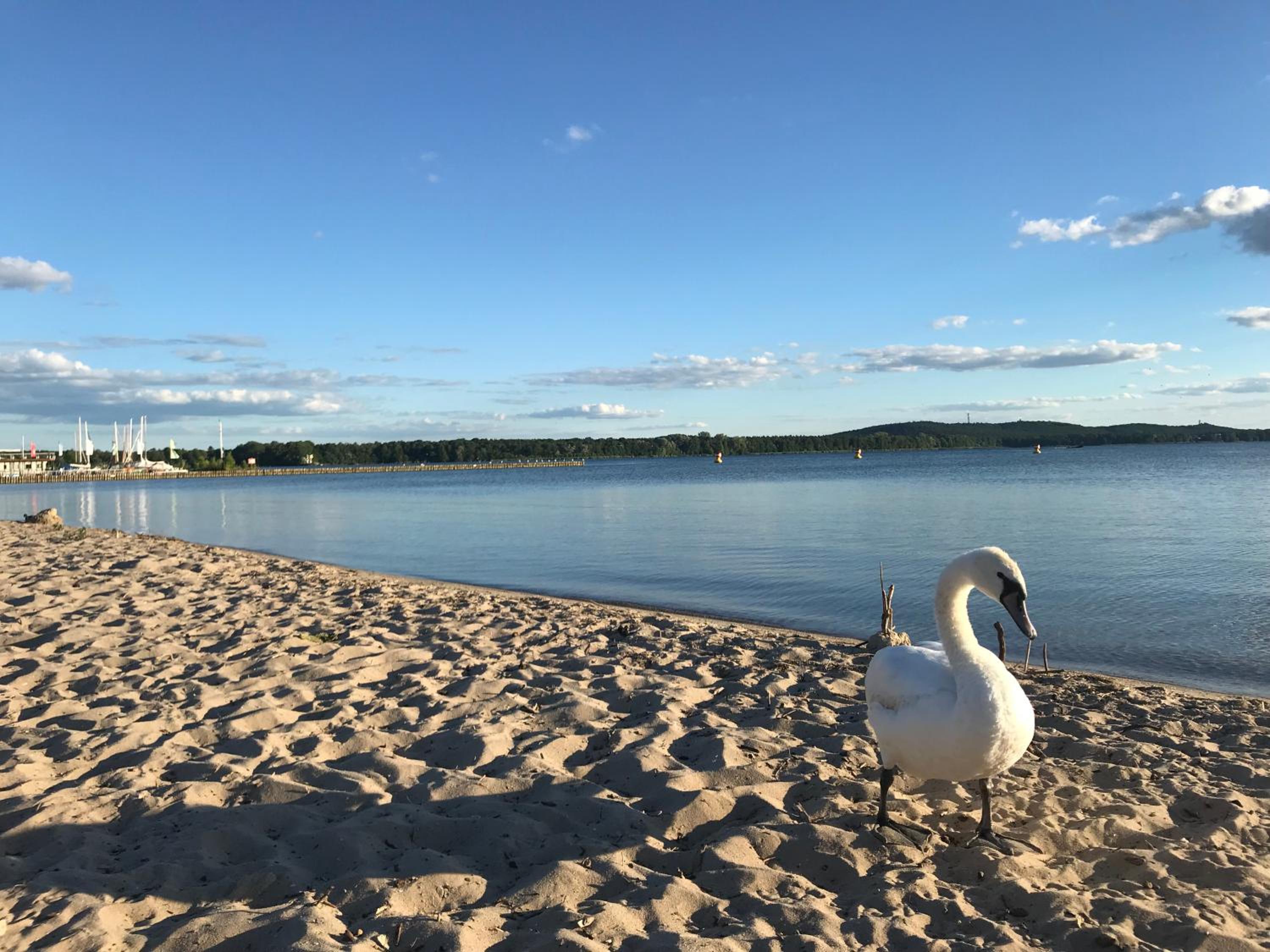 Mediterrane Luxusferienwohnung 4, Berlin-Köpenick, Am Müggelsee