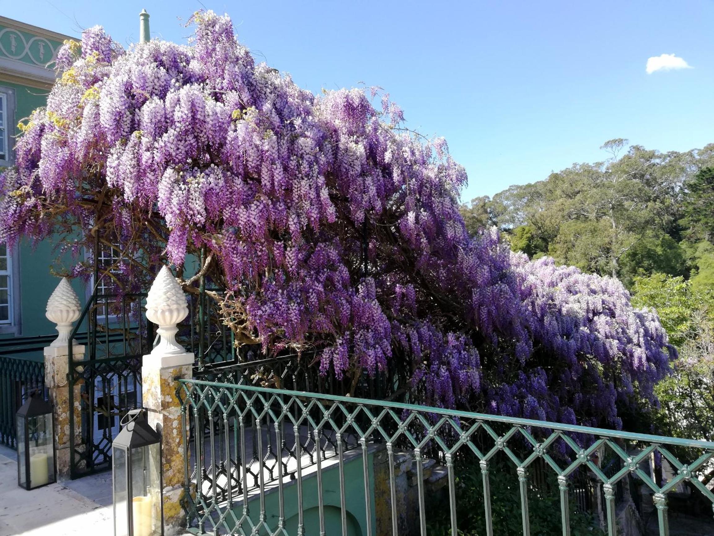 Casa Holstein Quinta de Sao Sebastiao Sintra