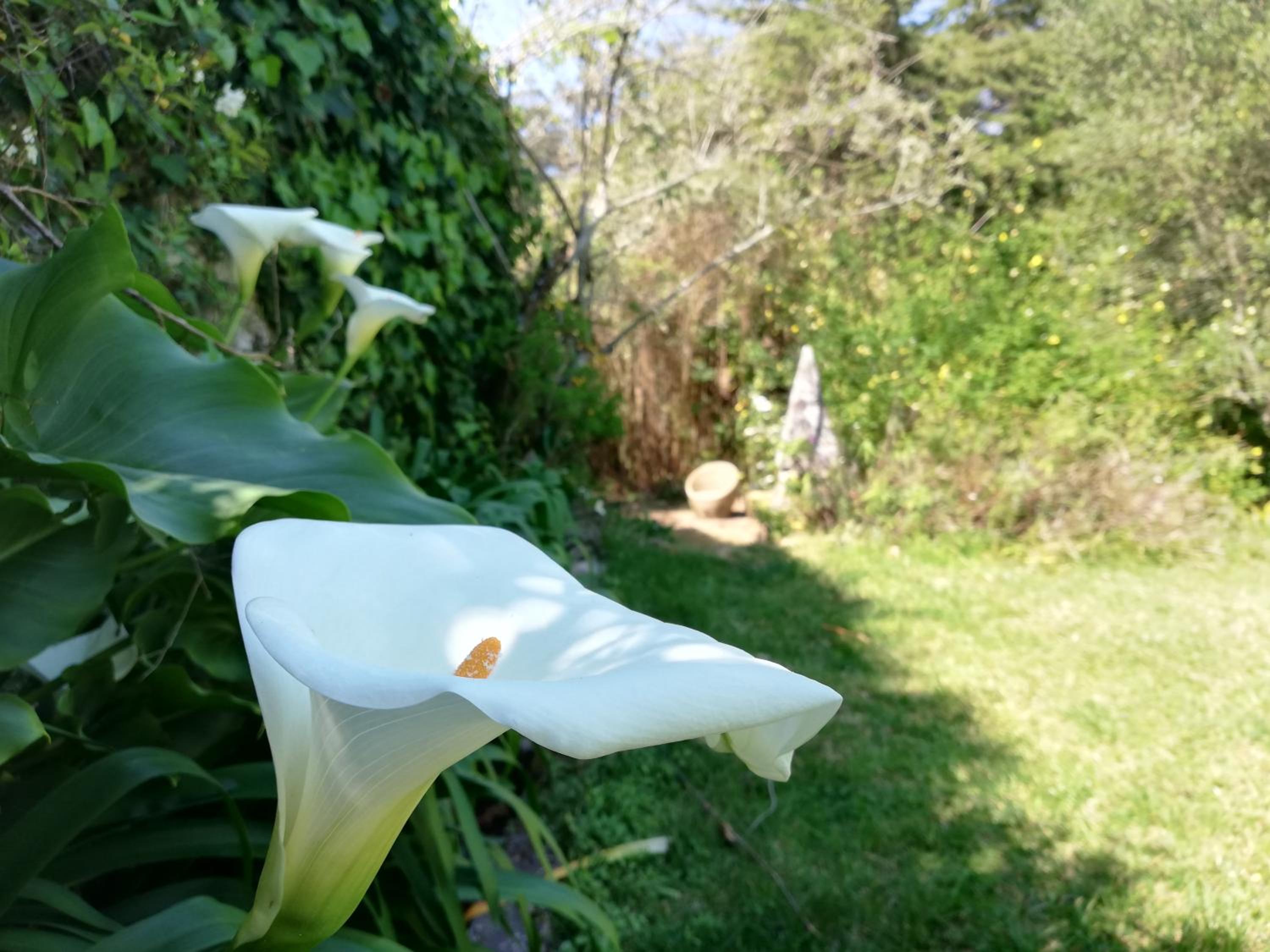 Casa Holstein Quinta de Sao Sebastiao Sintra