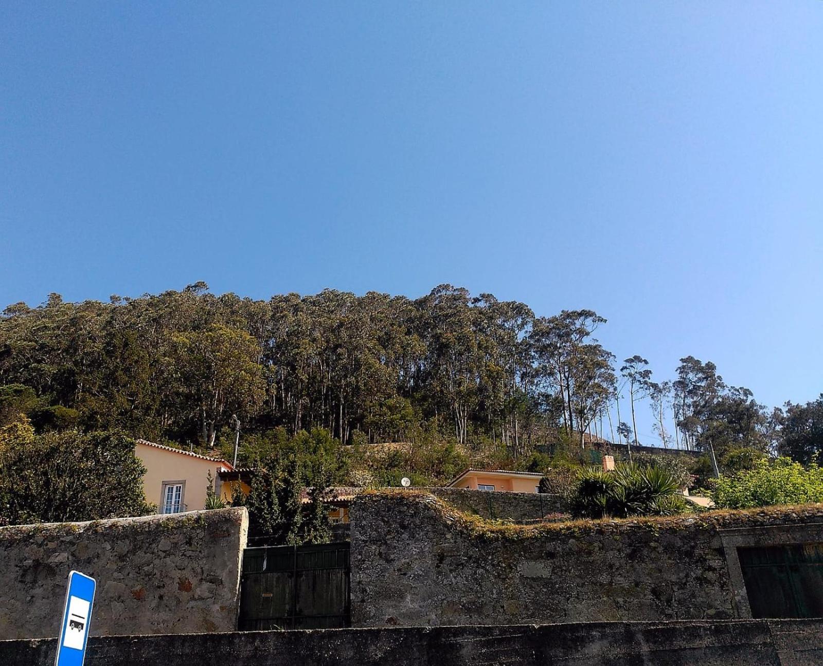 Lovely Sunny-House view 4