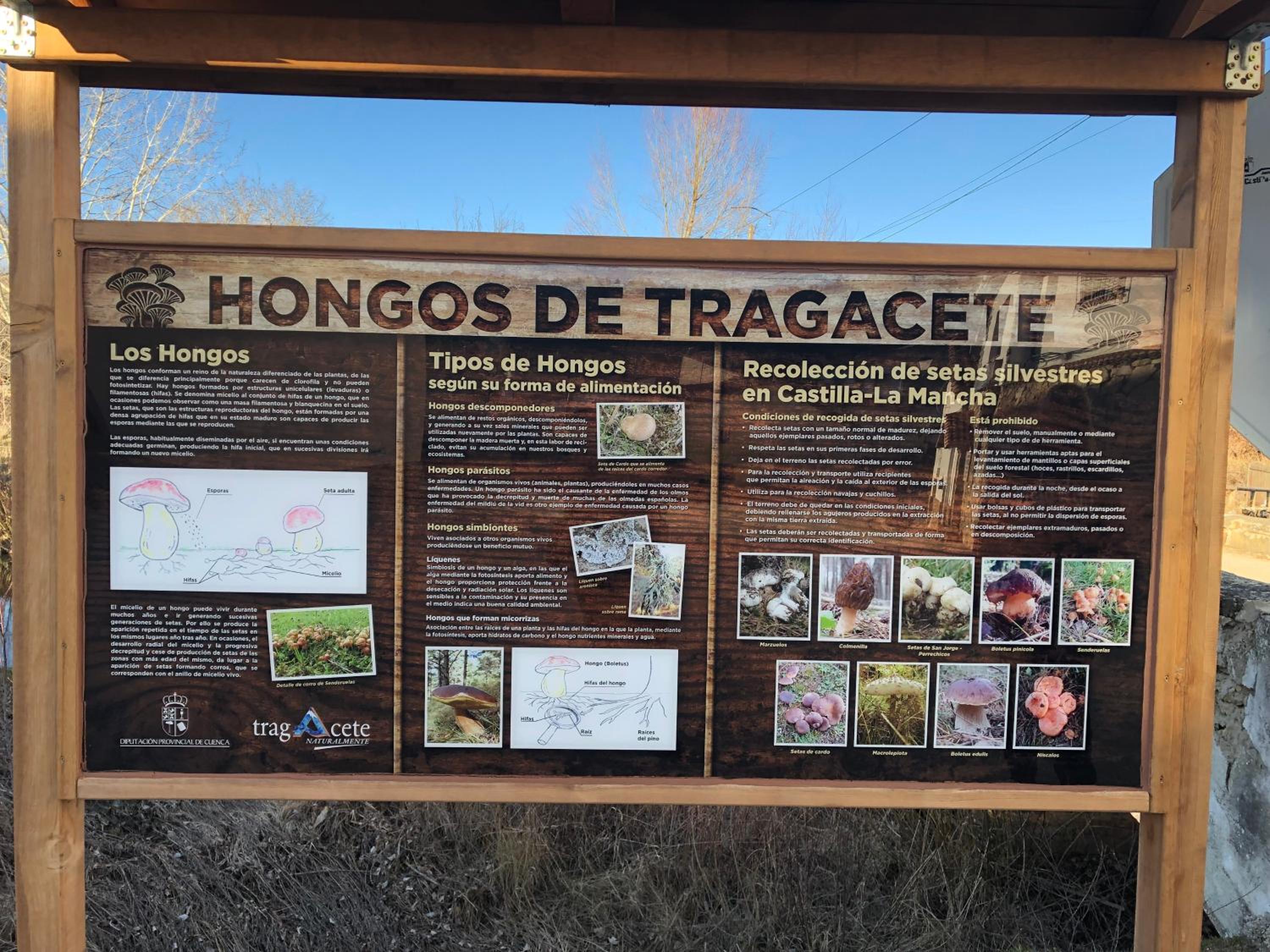 Photo 51