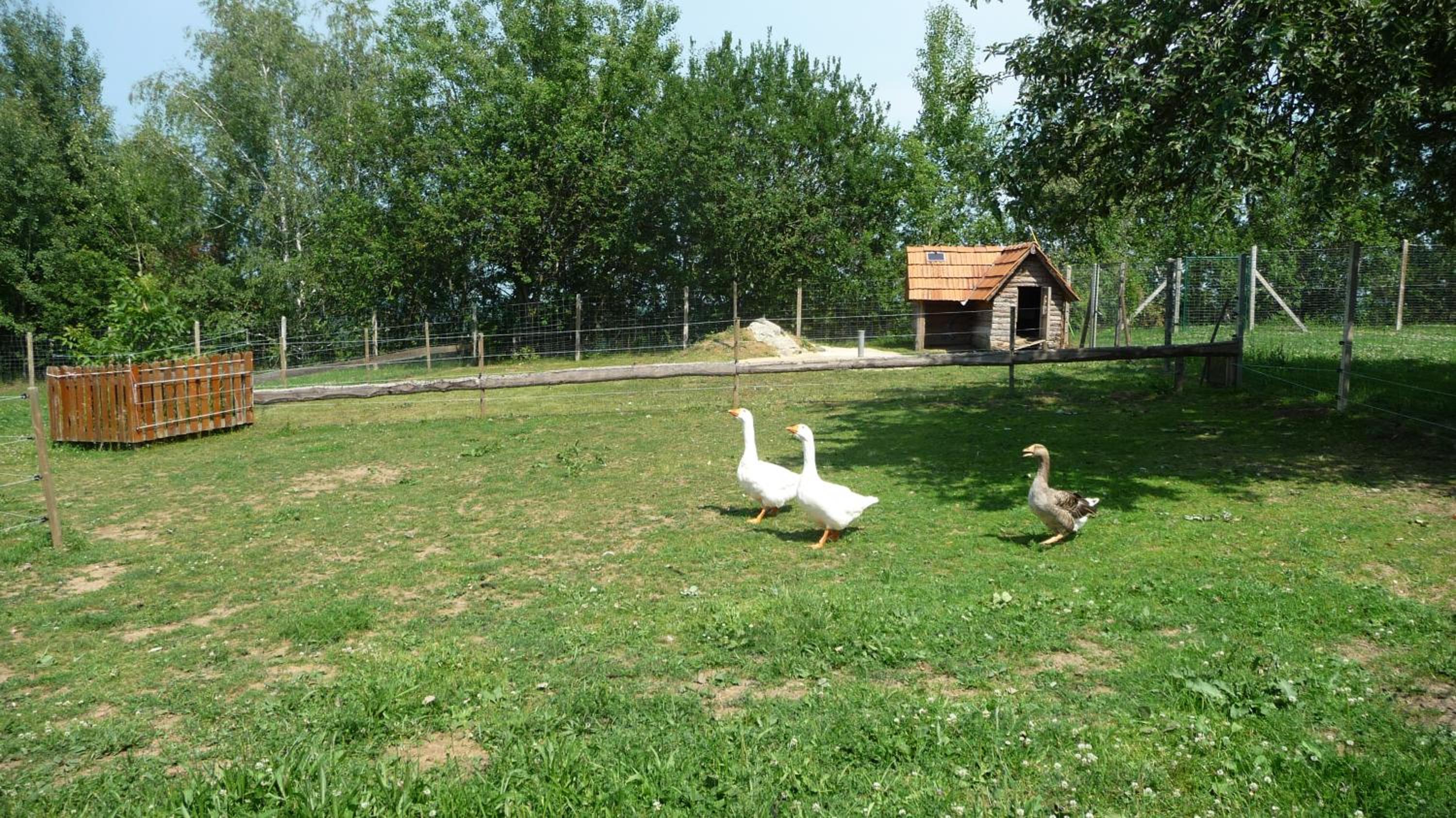 Photo 32