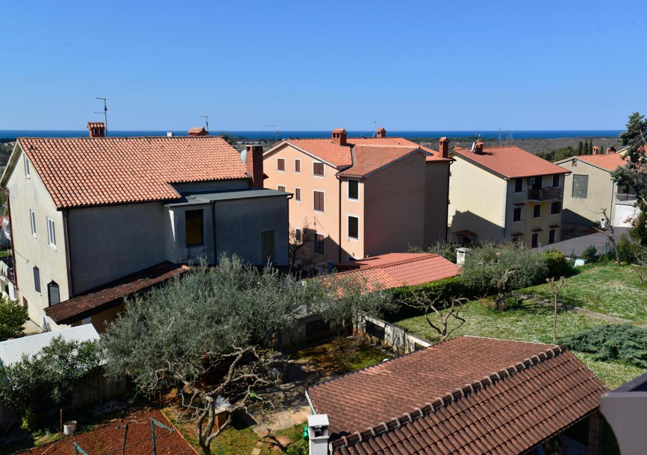 App Cerneka view 3