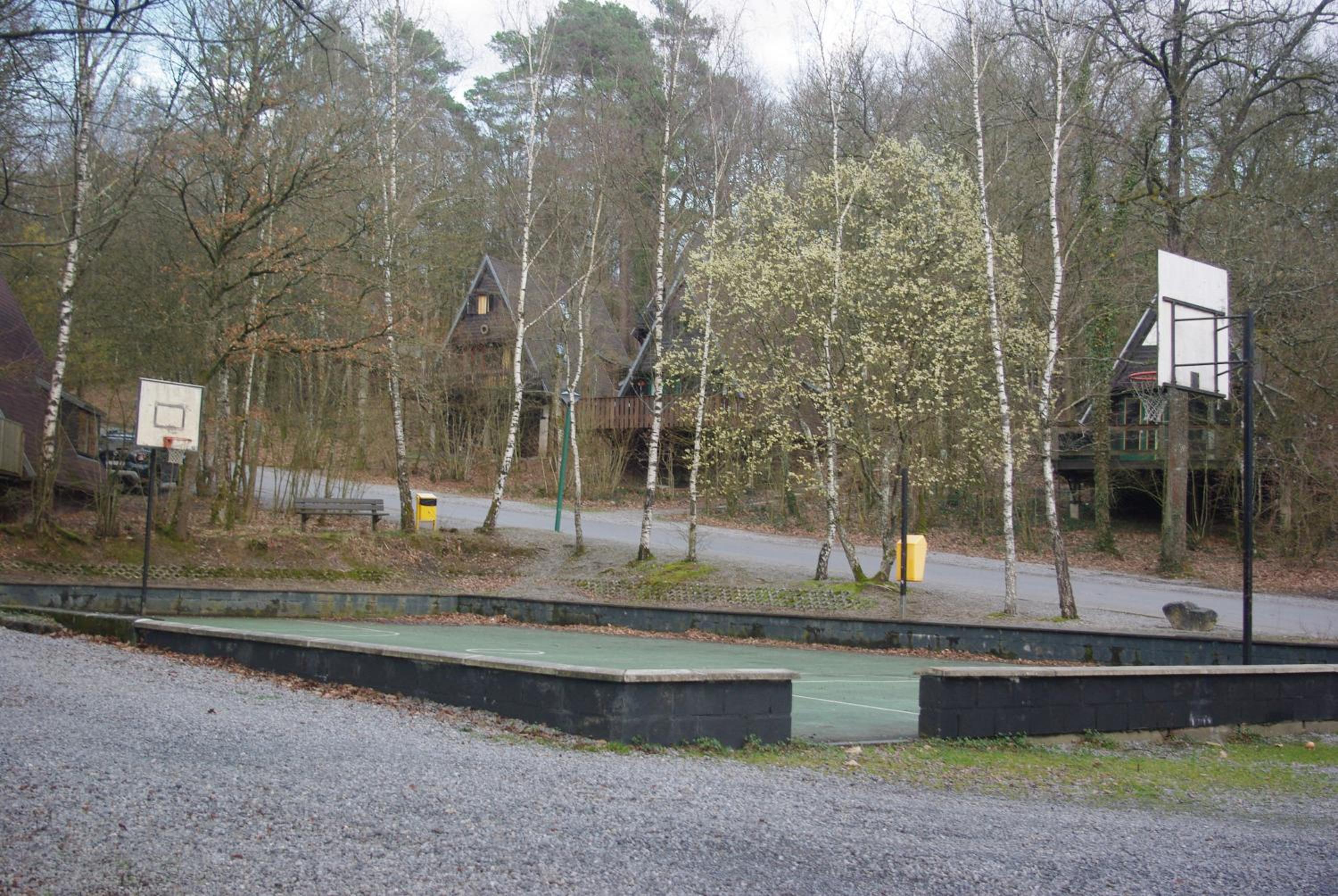 Photo 41