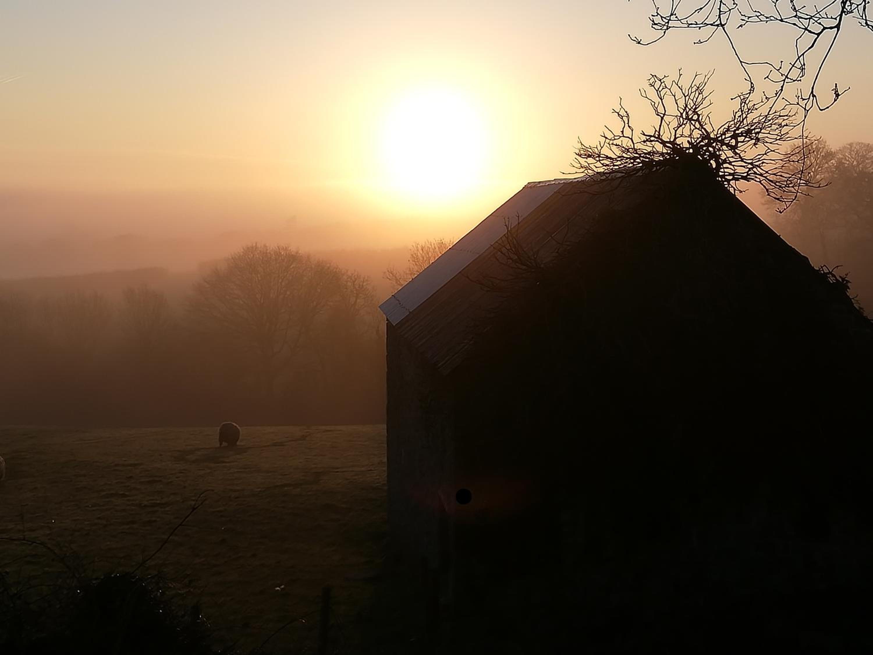 Okehampton Vacations - Lovaton Farmhouse - Property Image 28