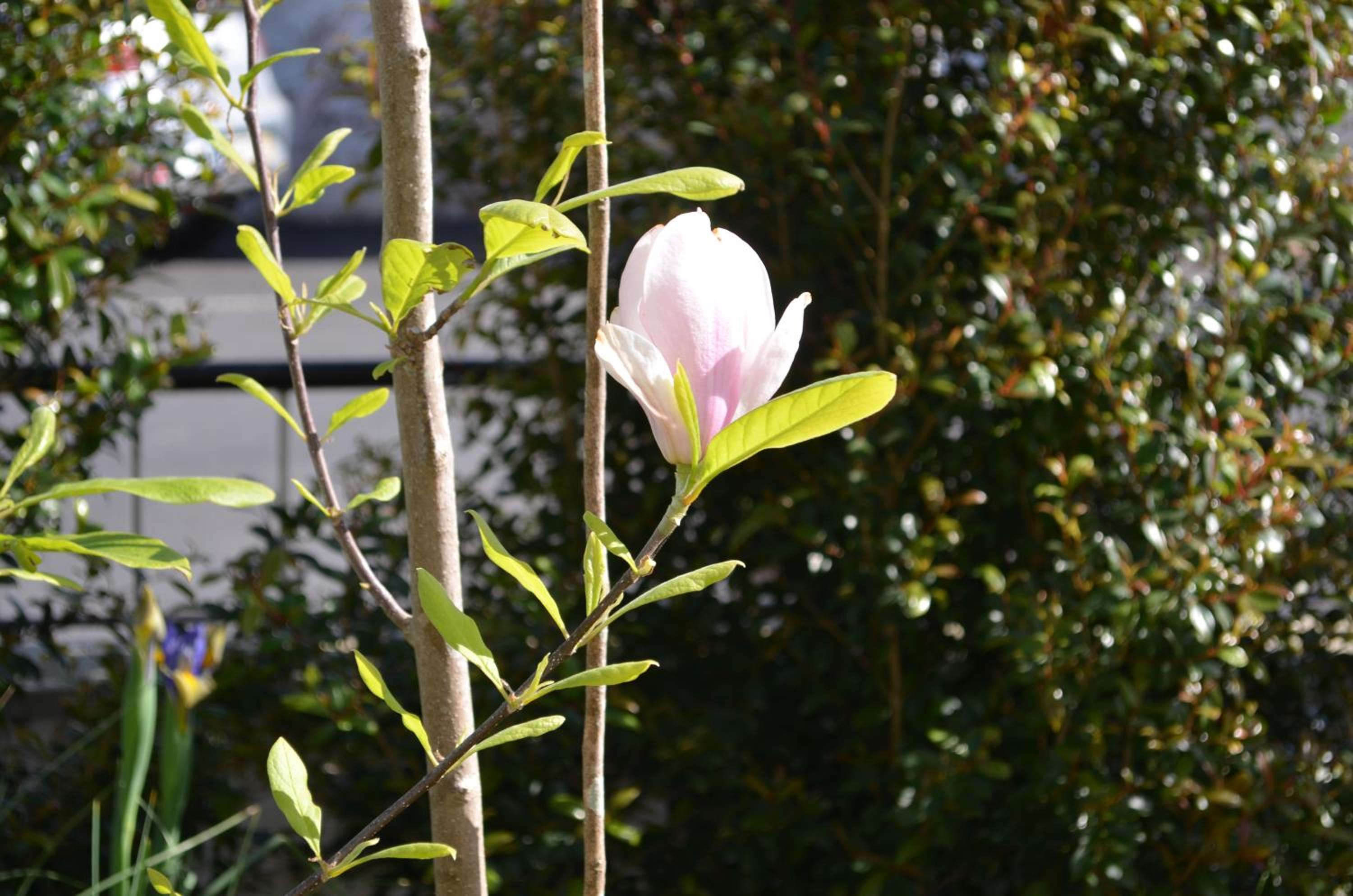 Photo 12