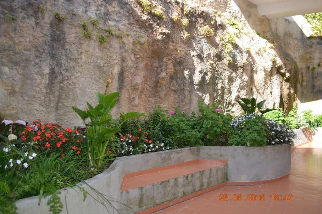 Photo 39