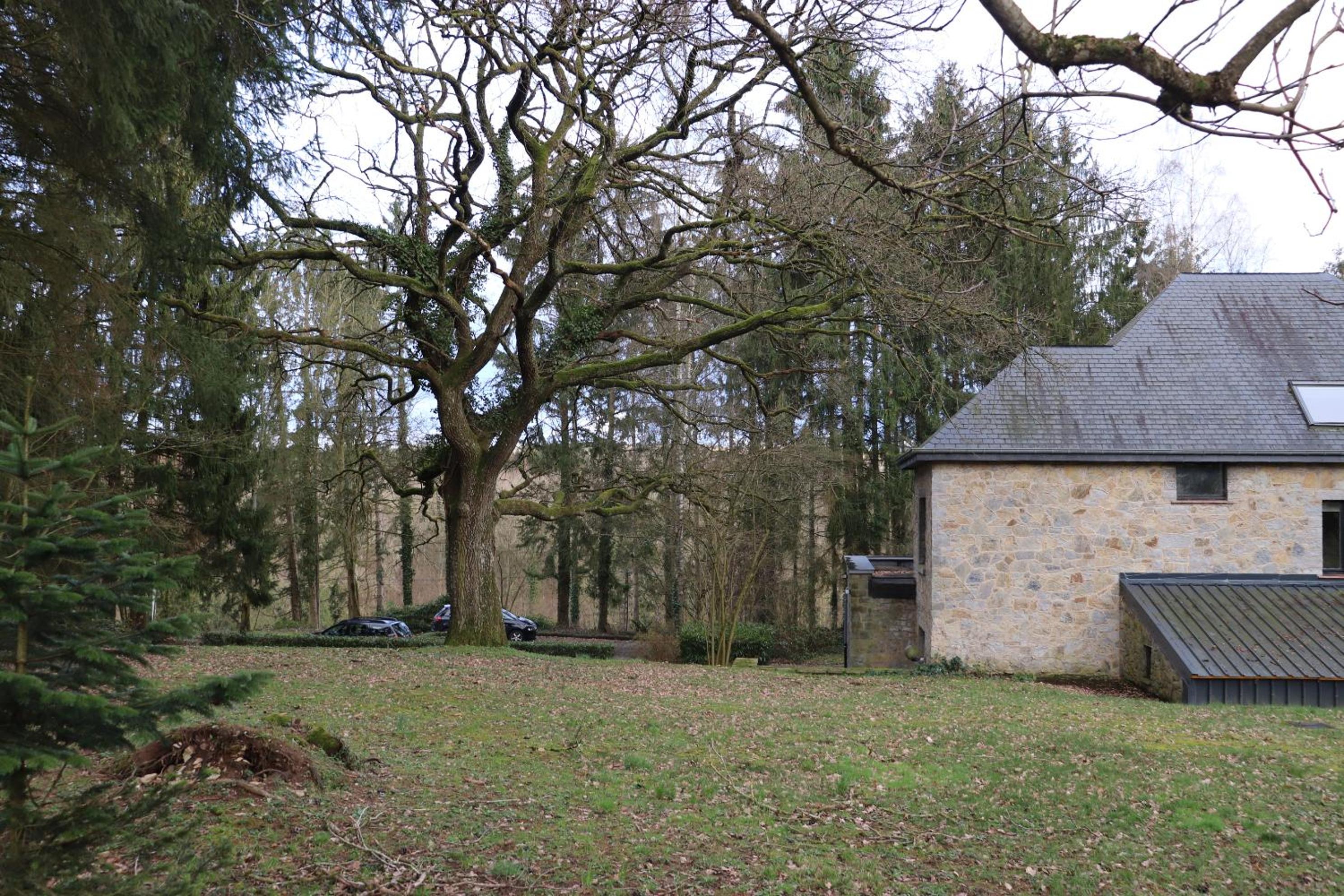 Photo 11