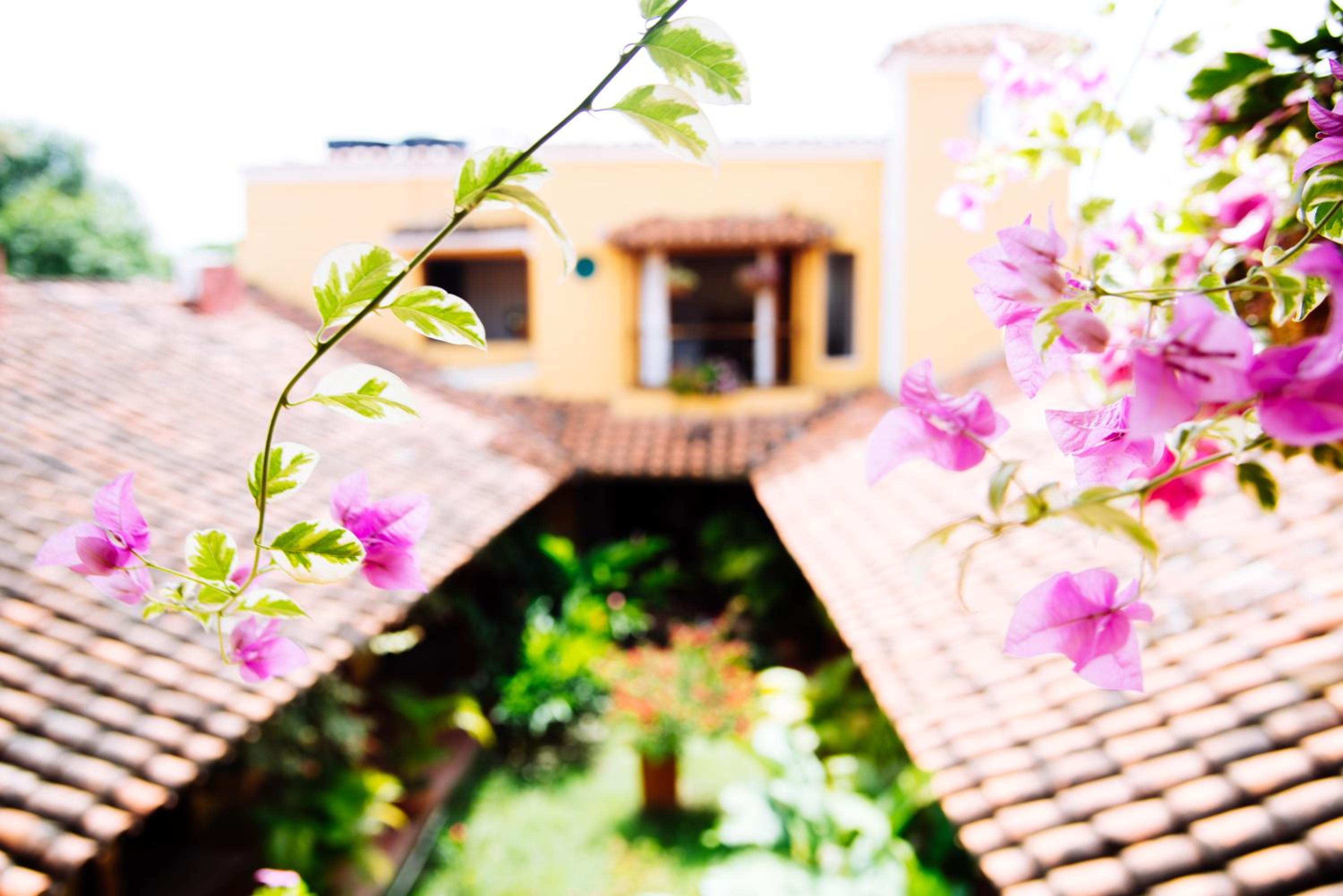 La Casa Amarilla