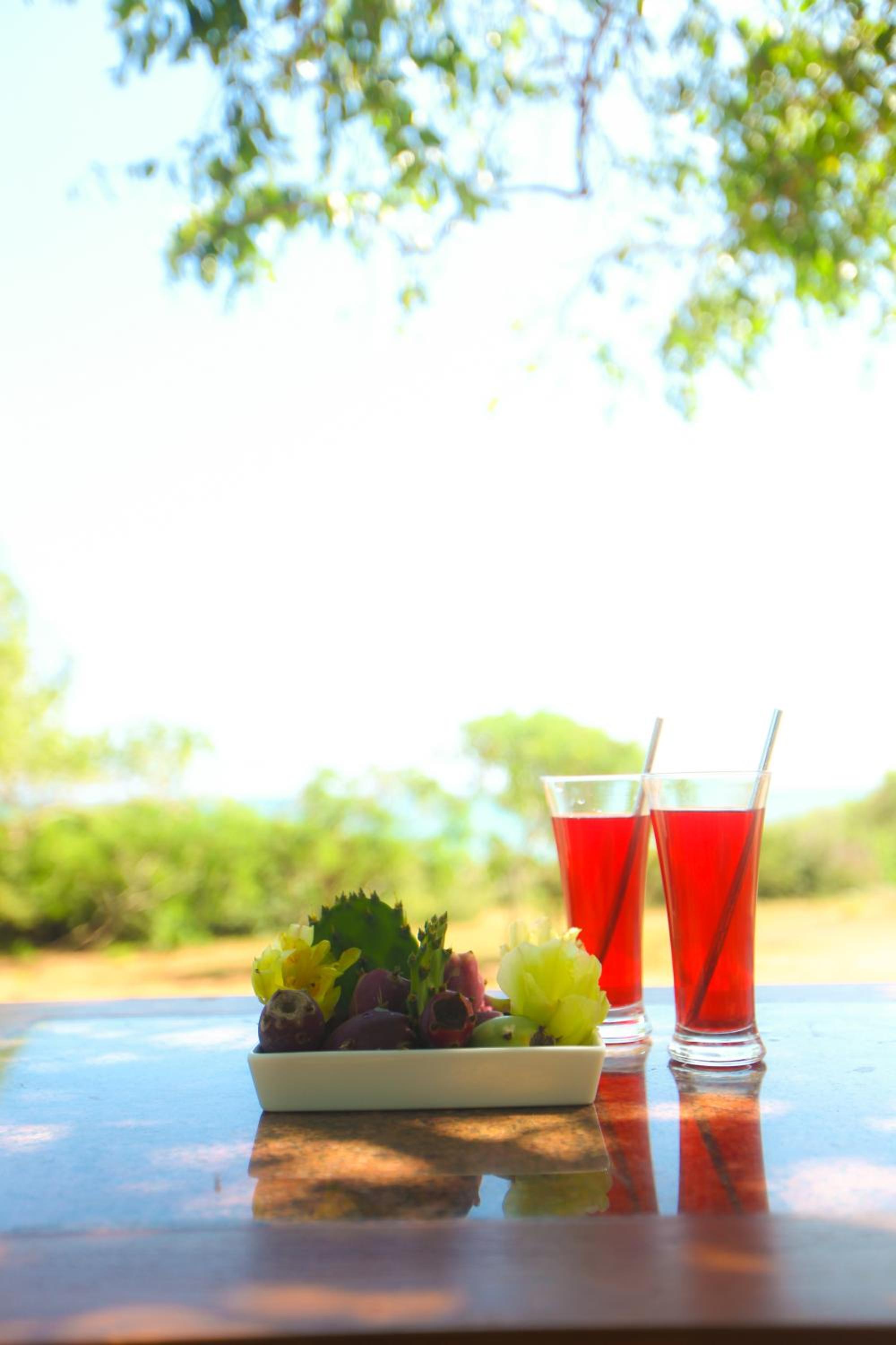 Nil Sisila Beach Resort Yala