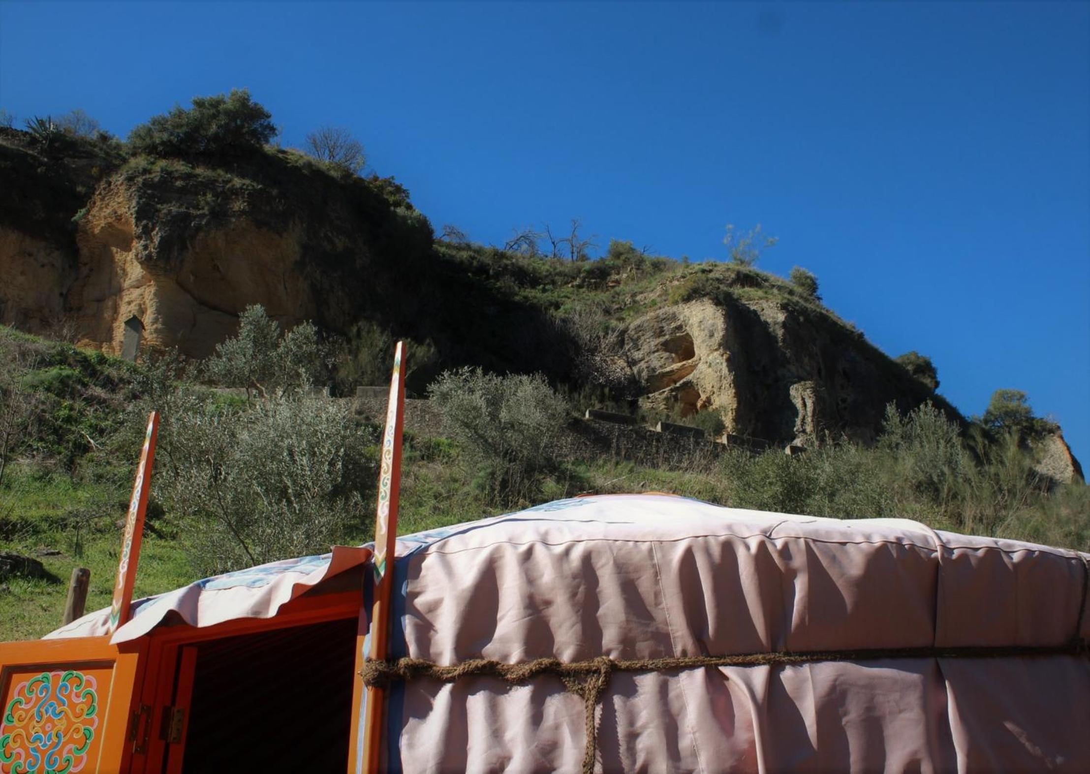 Photo 44