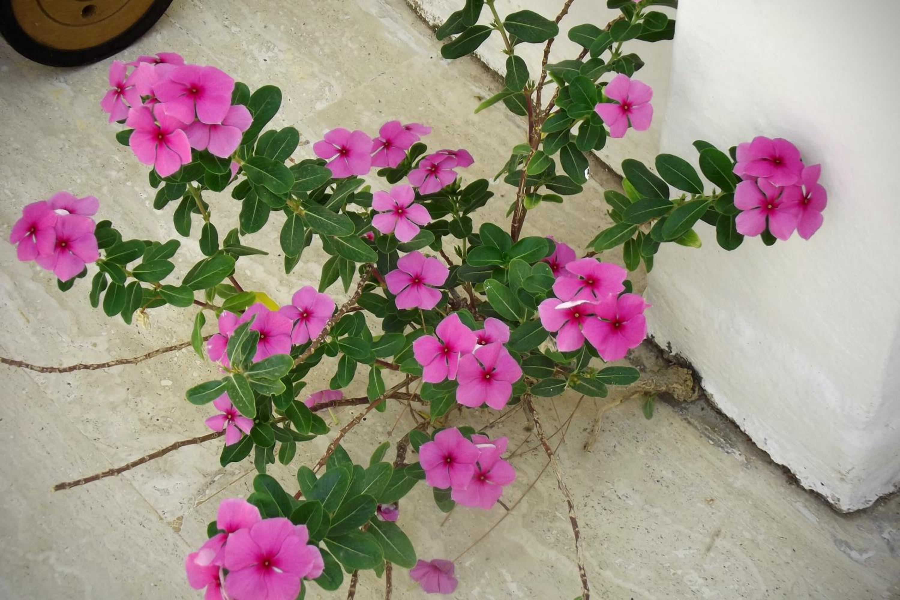 Carikci Hotel - Image 41