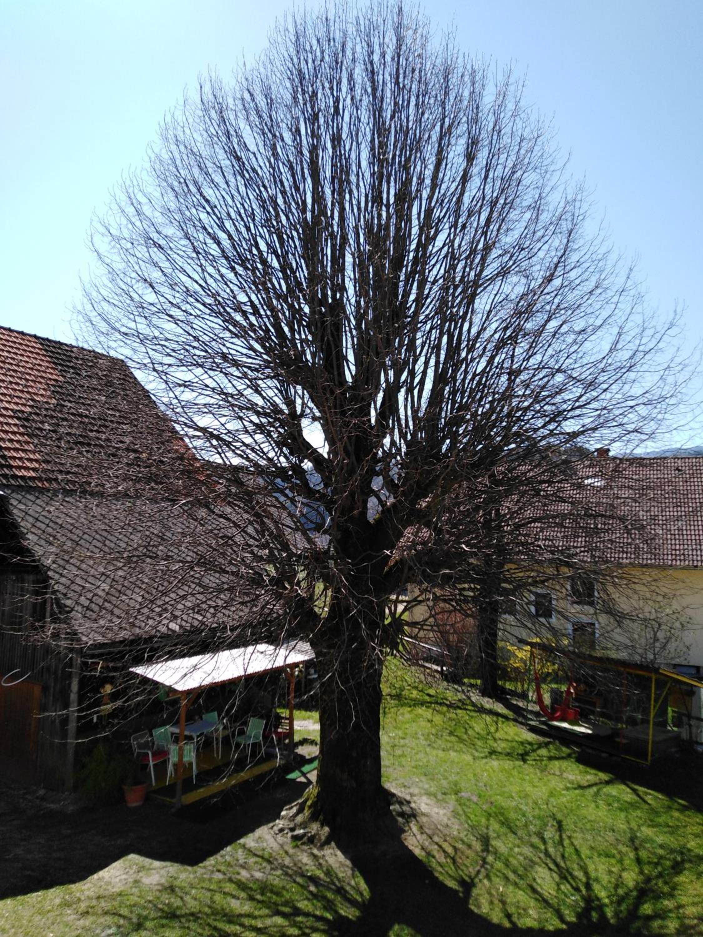Photo 26