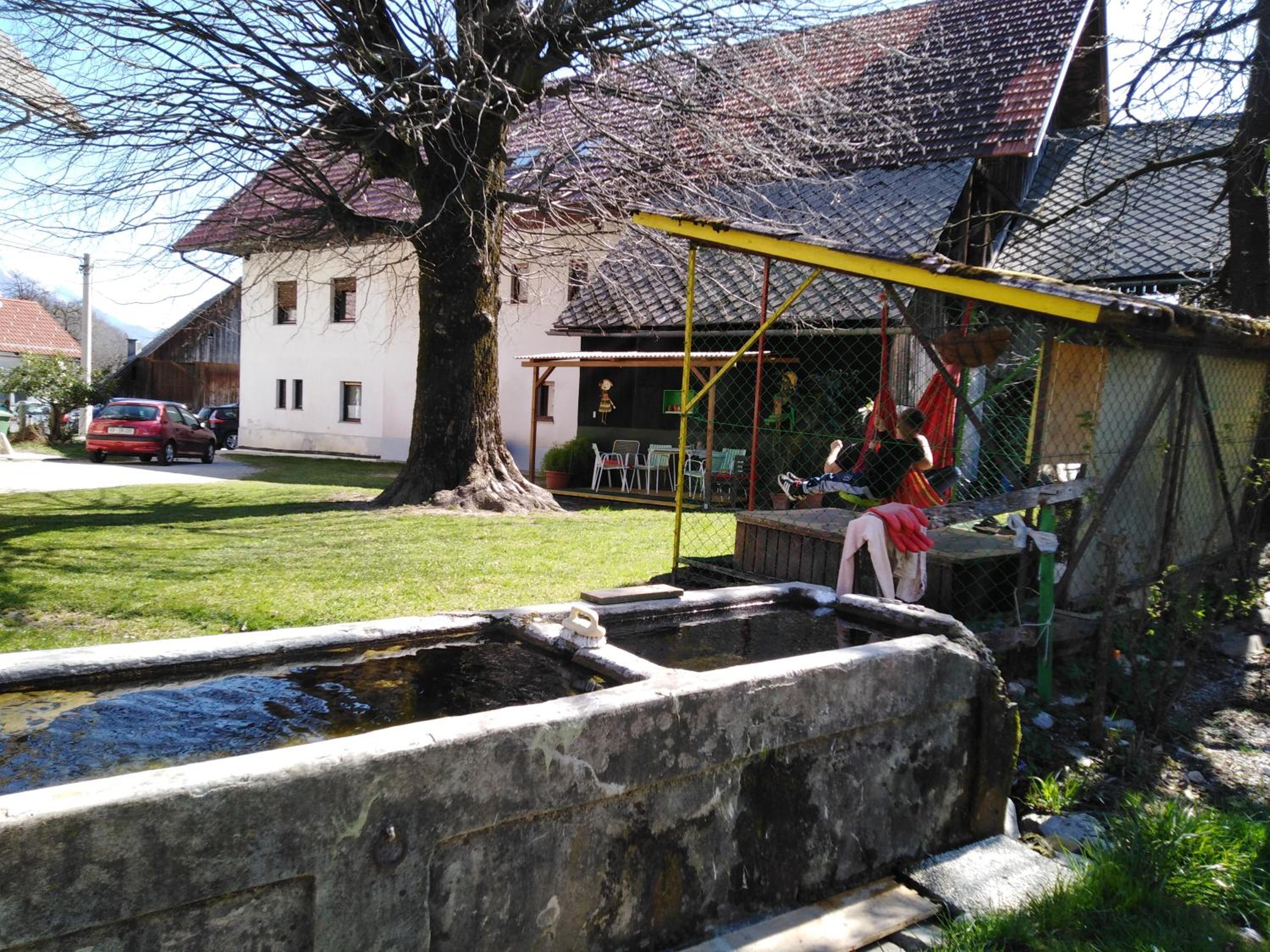Photo 23
