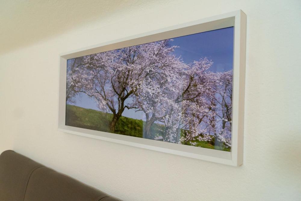 Appartementhaus Monika view 5
