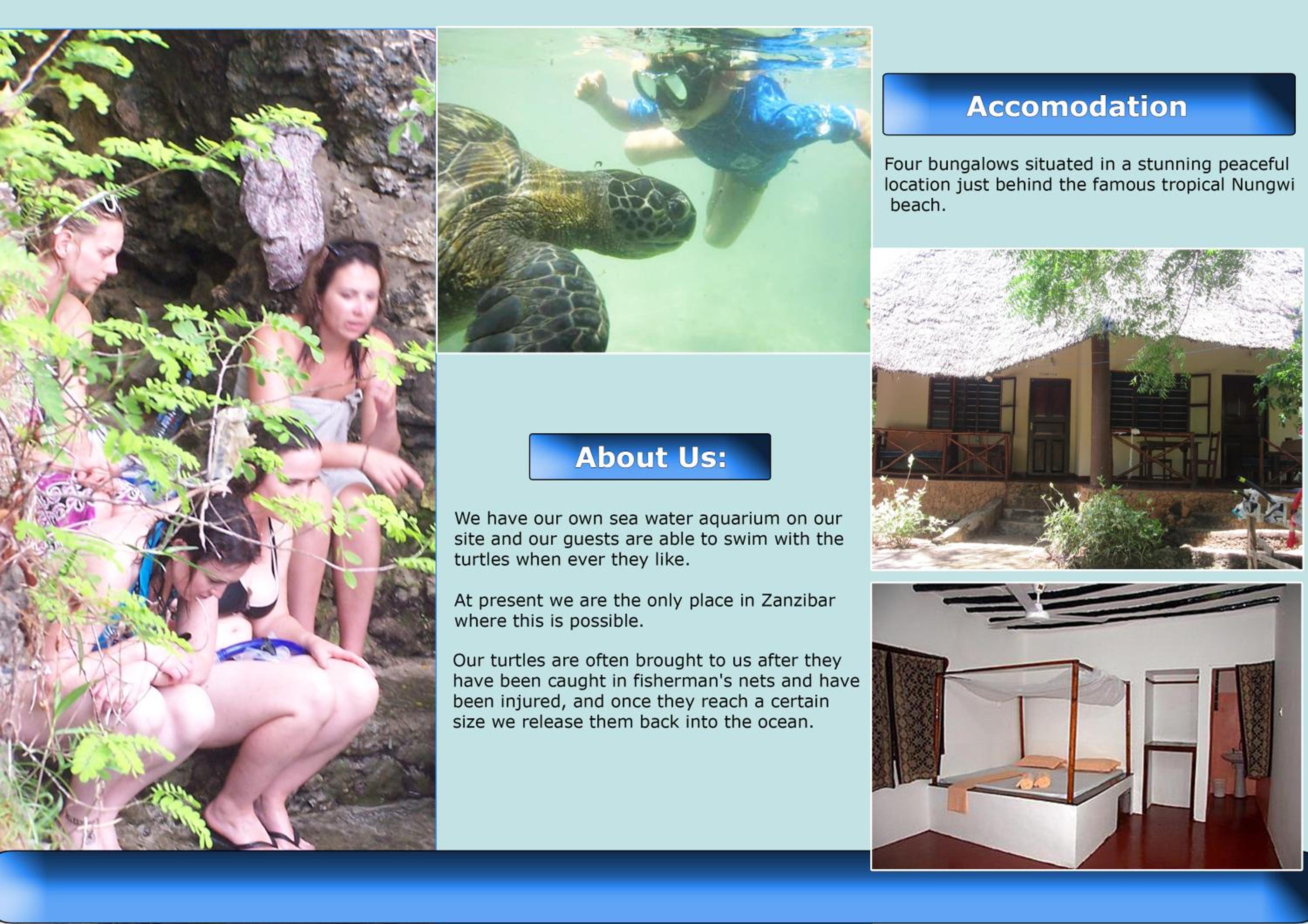 Baraka Aquarium Bungalows