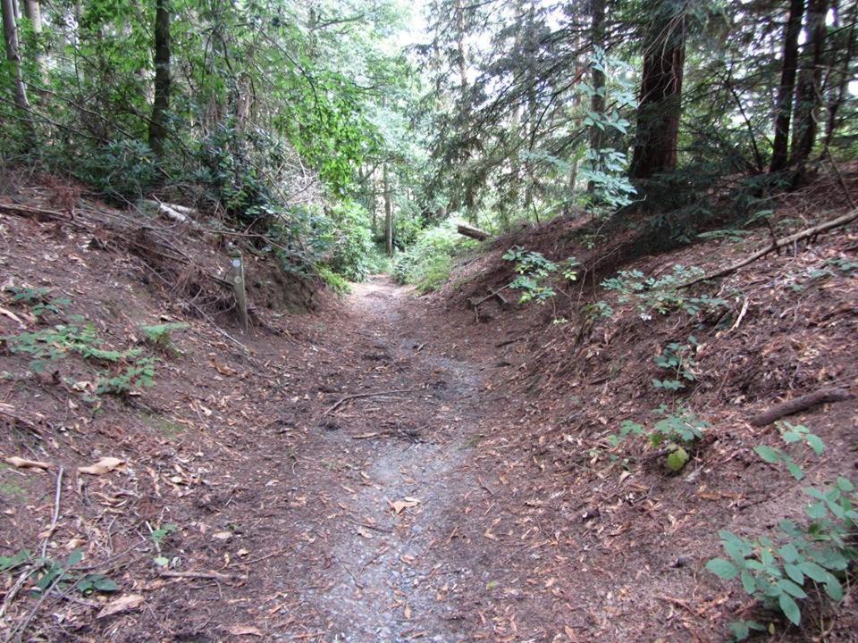 Photo 31