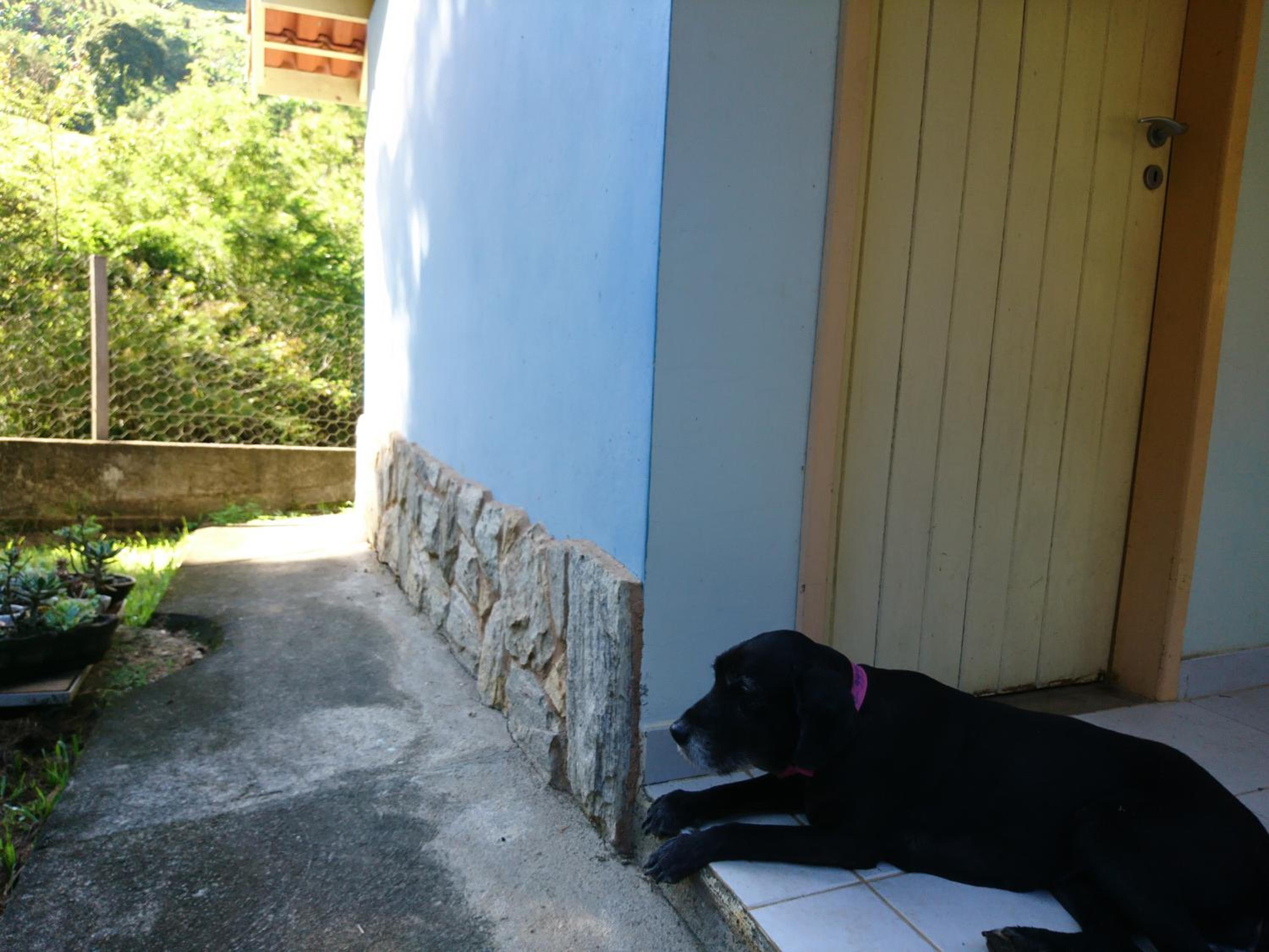 Casa do Artista