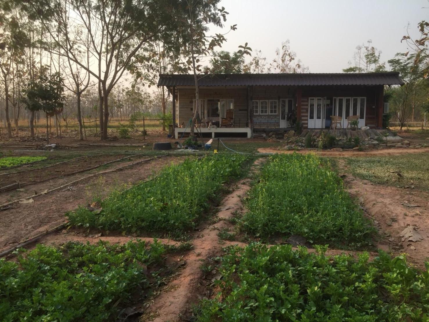 Cozycomo Khonkhan view 4