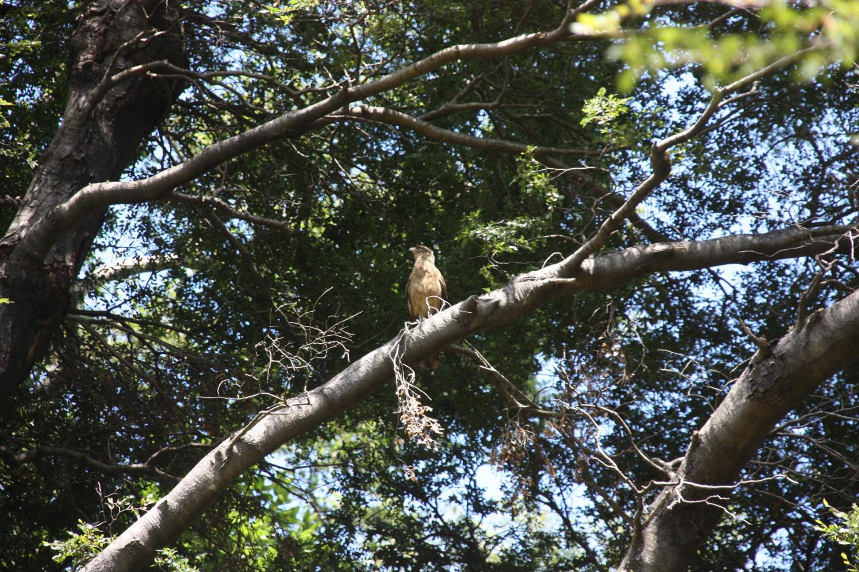 Photo 48