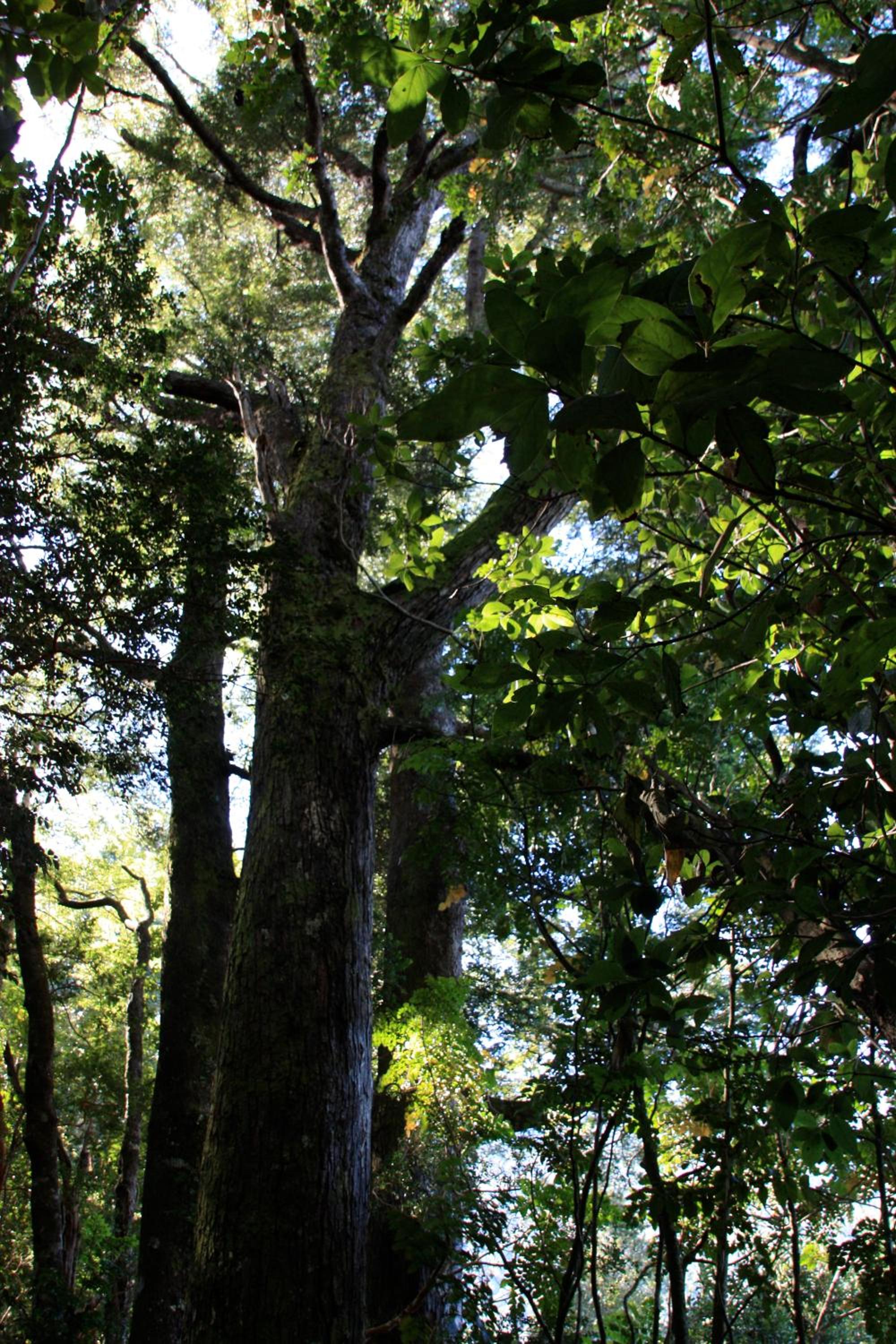 Photo 25