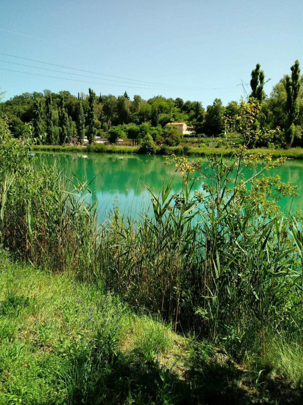Photo 31