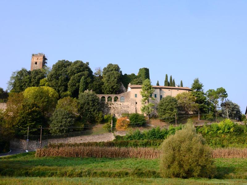 Photo 34