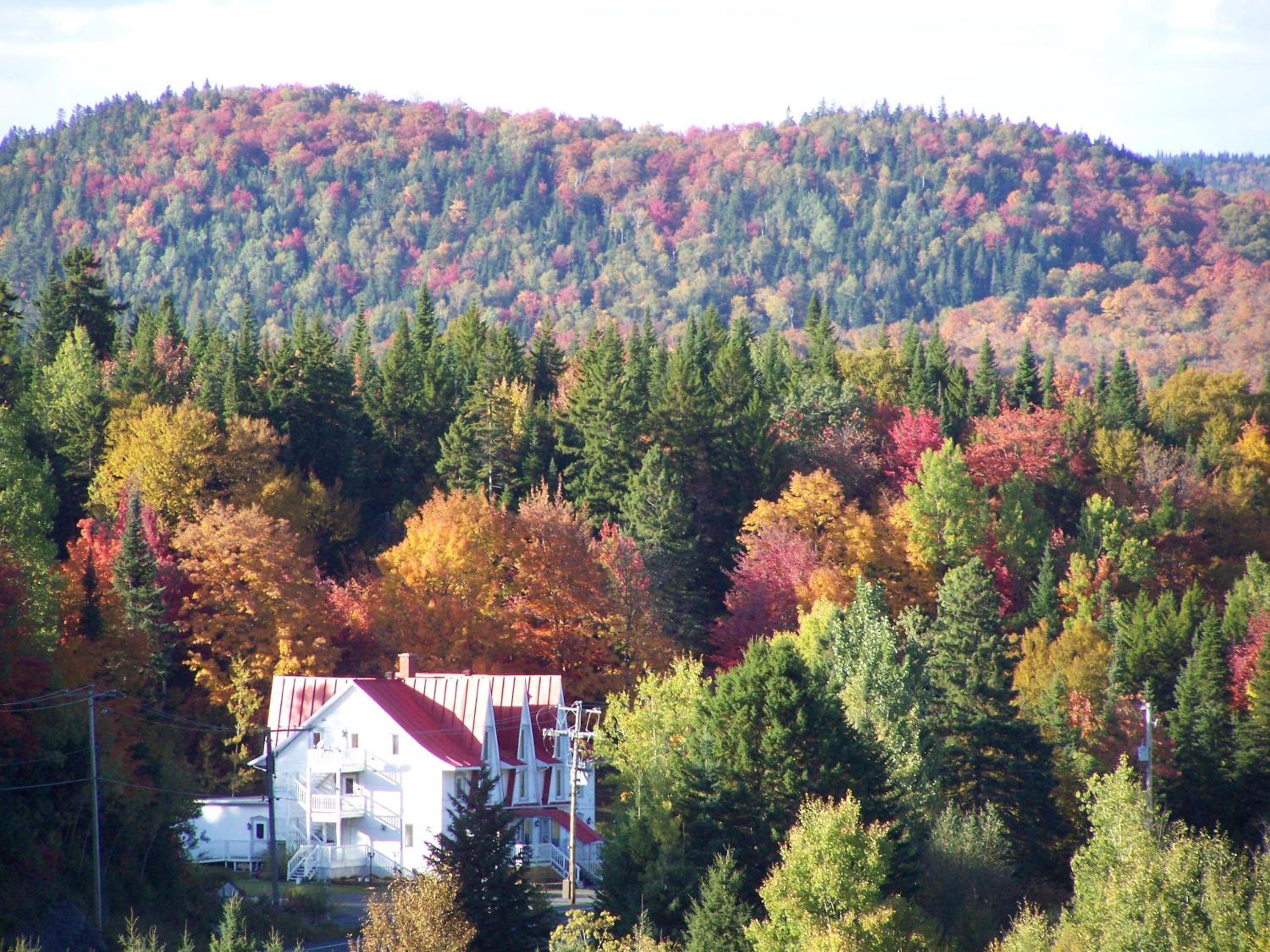 Auberge les Etchemins