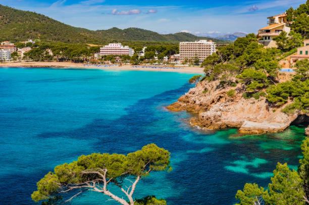 Apartaments Sa Torre by SUREDA MAS