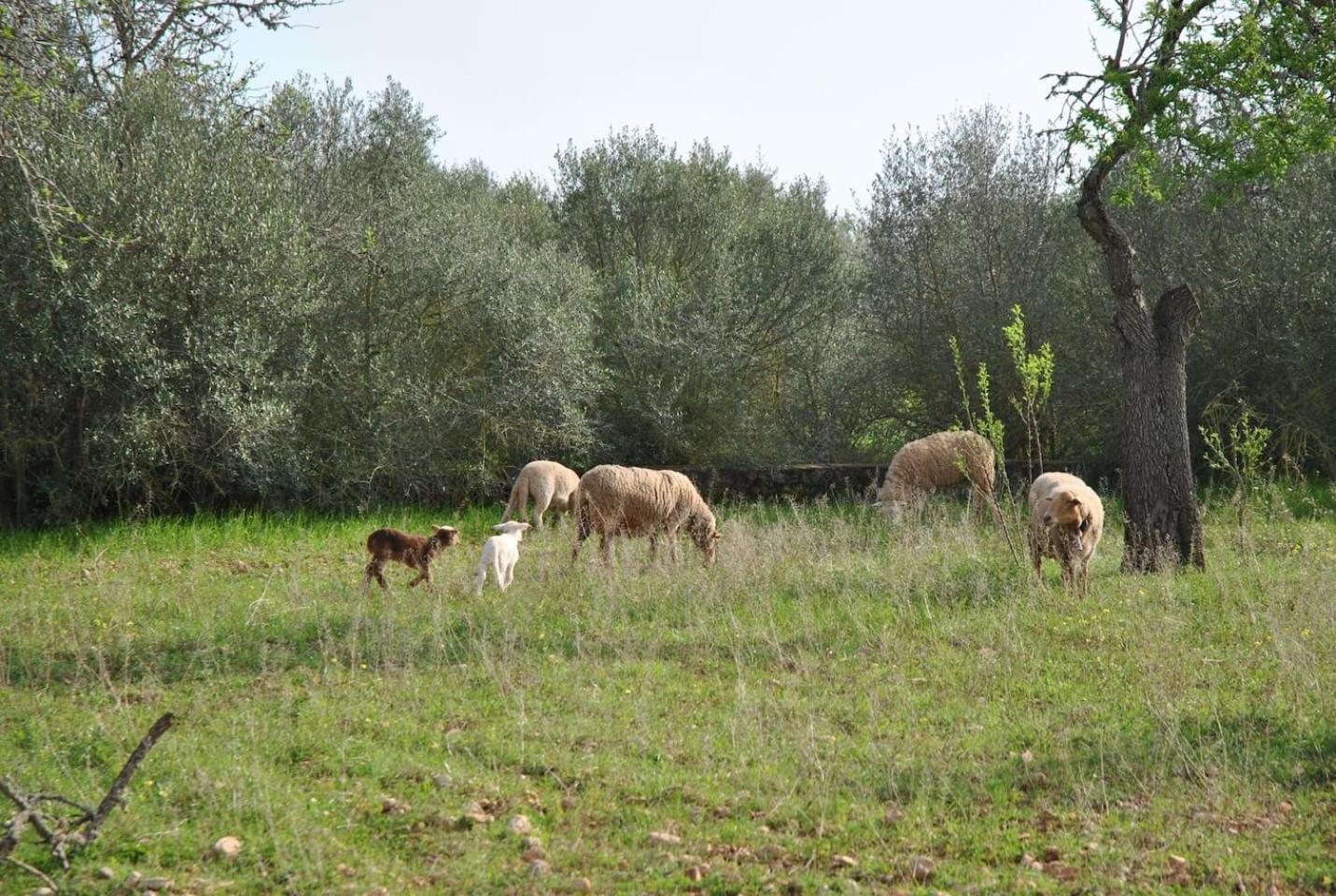 Photo 16