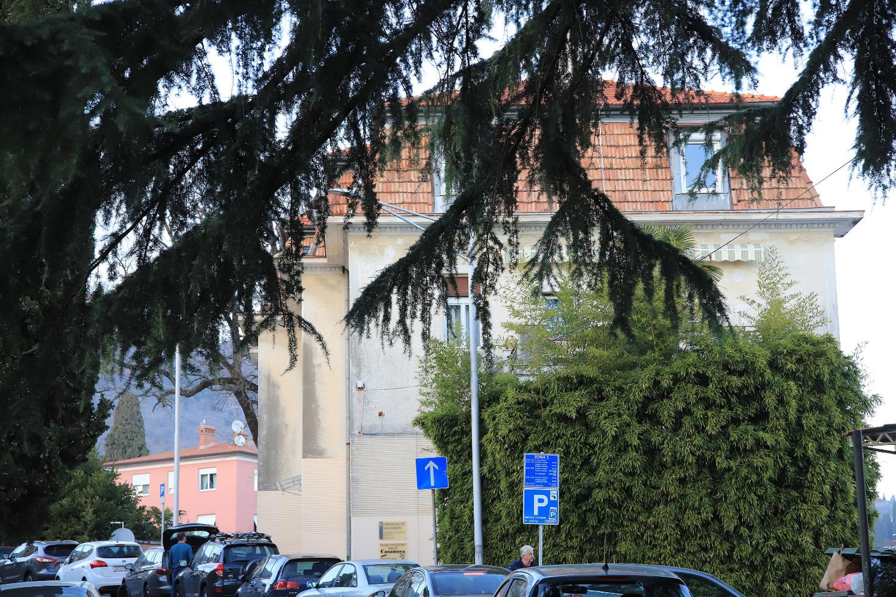Photo 13
