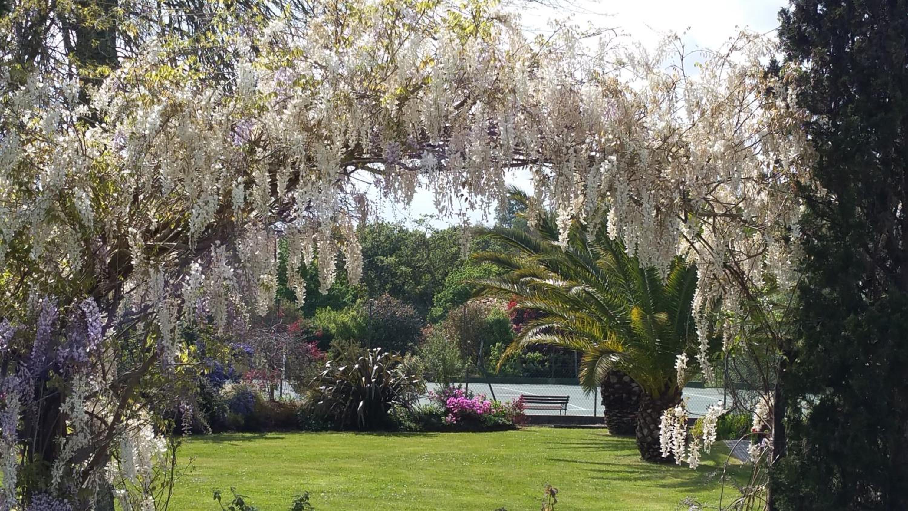 Domaine de Millox
