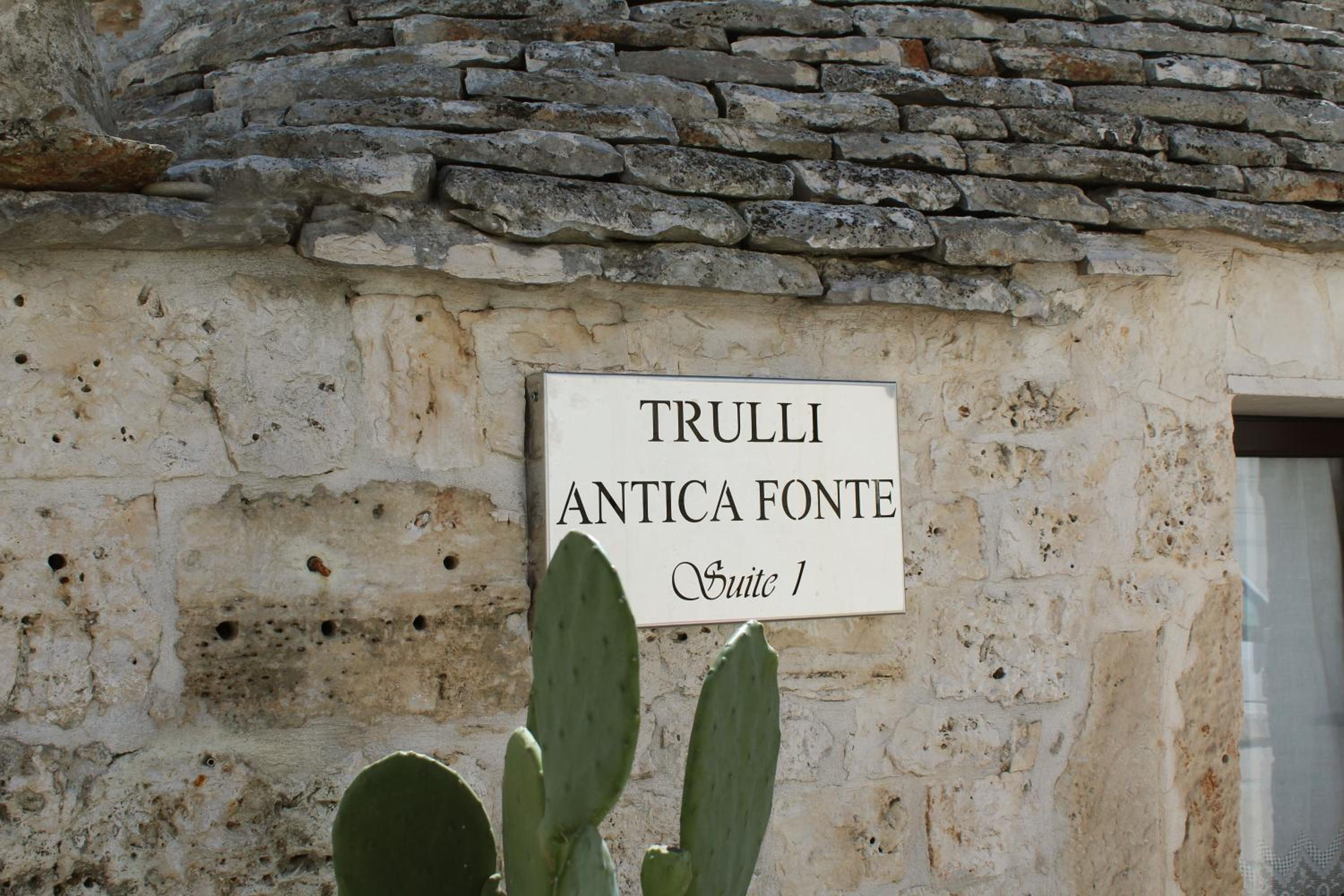 Photo 44