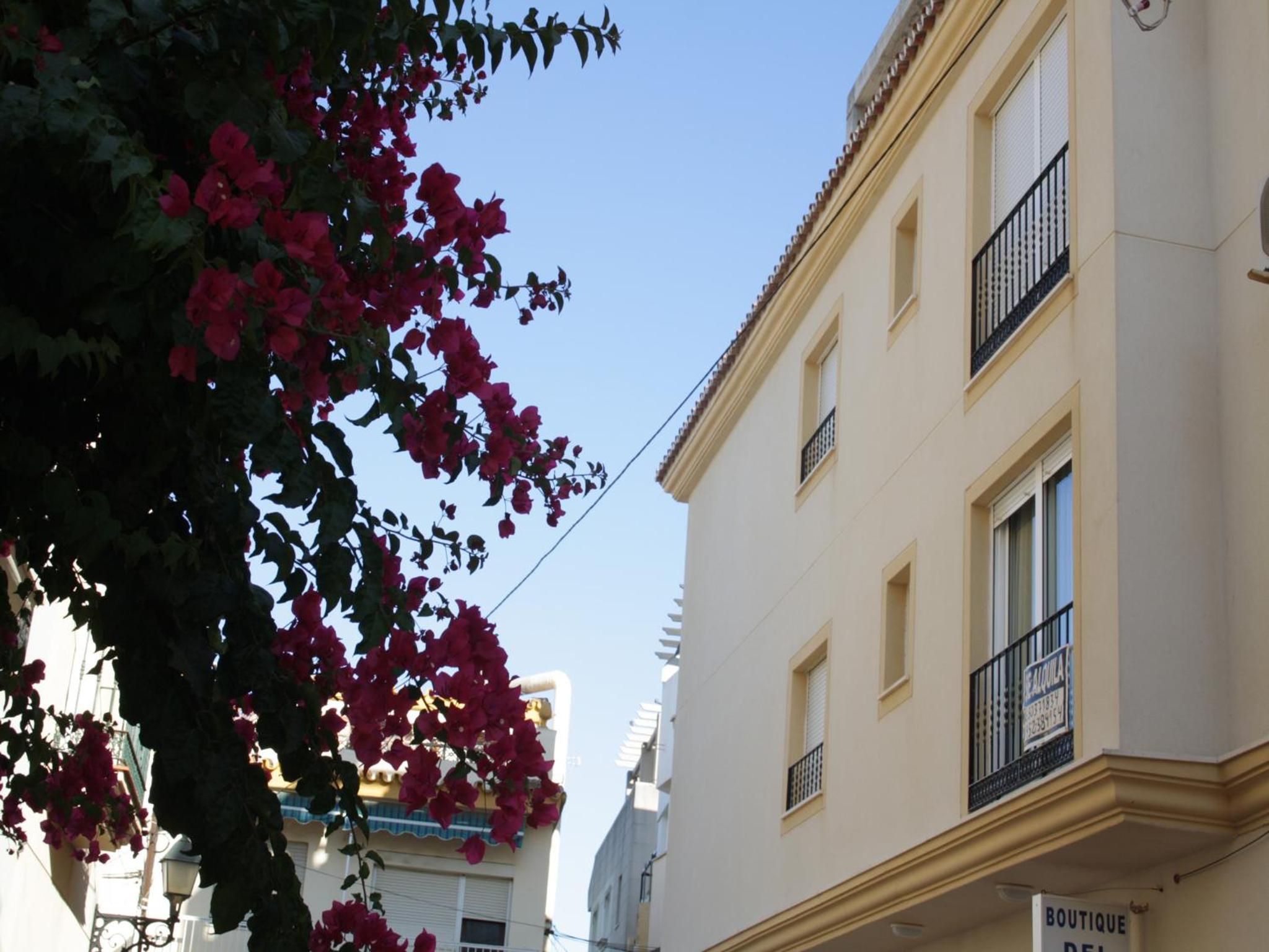 Apartamentos Velasco